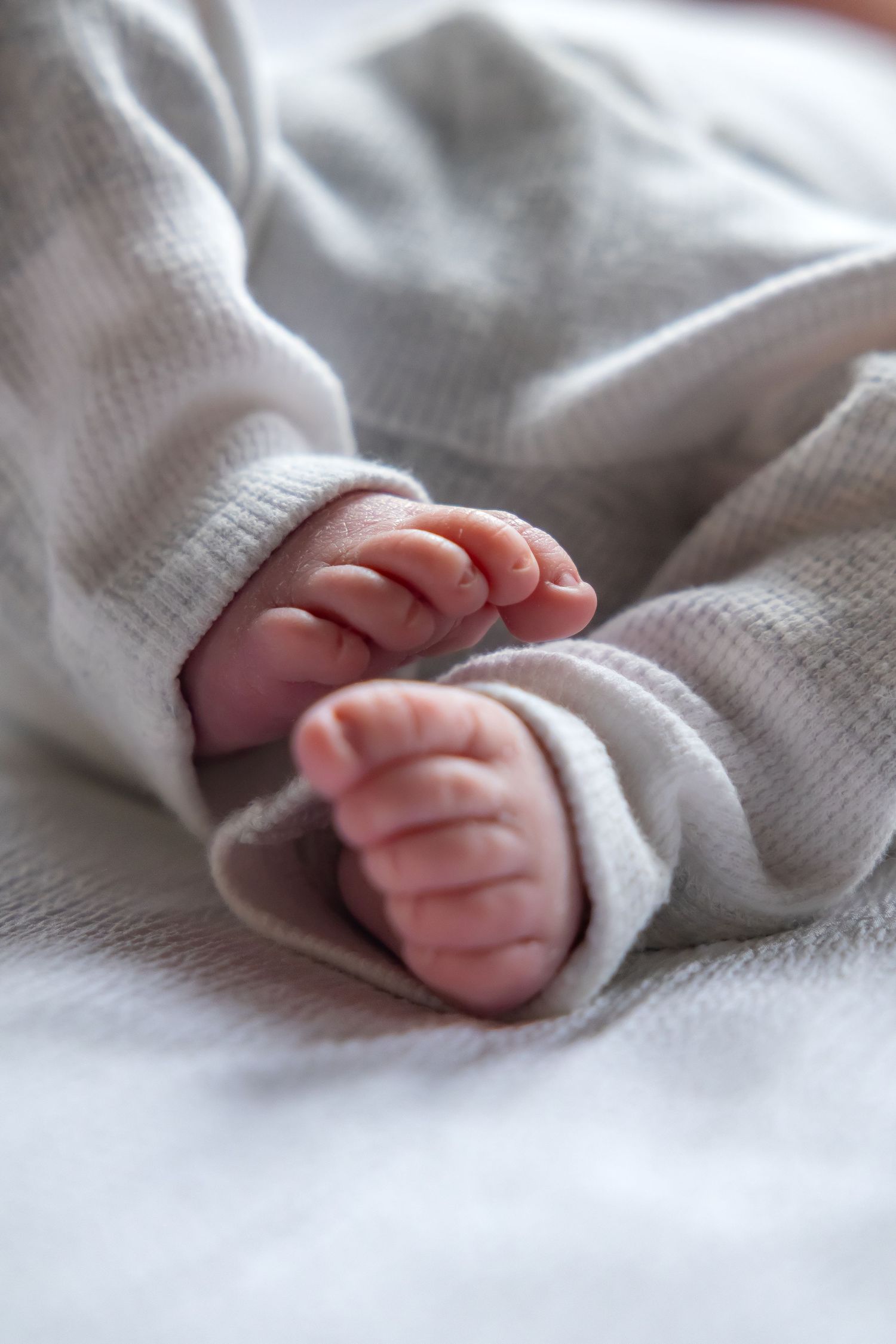 Close-up of tiny baby feet wrapped in soft white fabric.