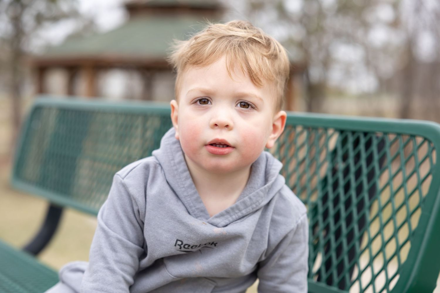 A small child wearing a gray sweater sits on a green park bench looking up with curiosity.