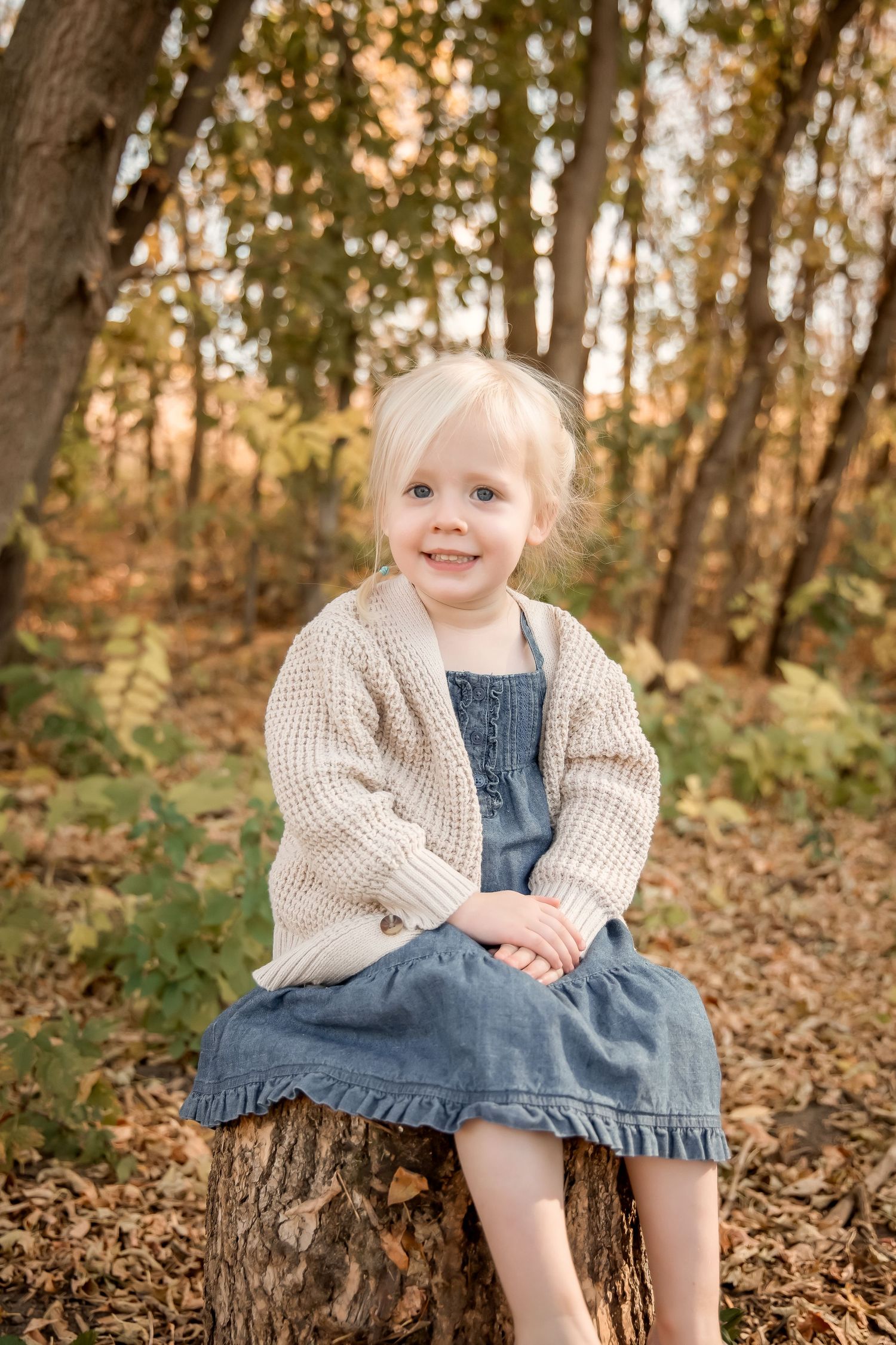 A small child in a denim dress and cream sweater sits on a tree stump surrounded by autumn leaves.