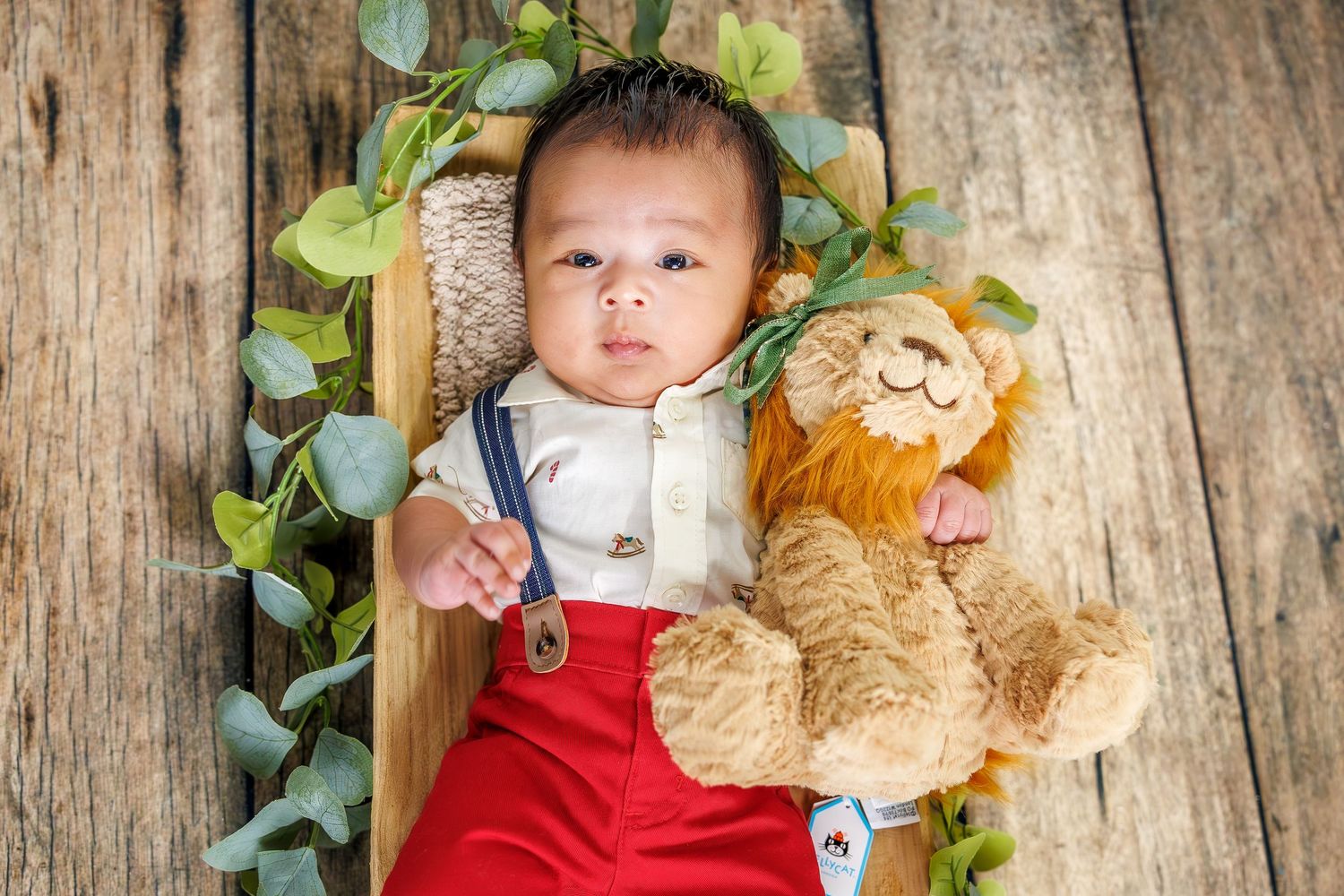 A baby in red overalls lies on wooden boards with greenery and a plush lion toy.