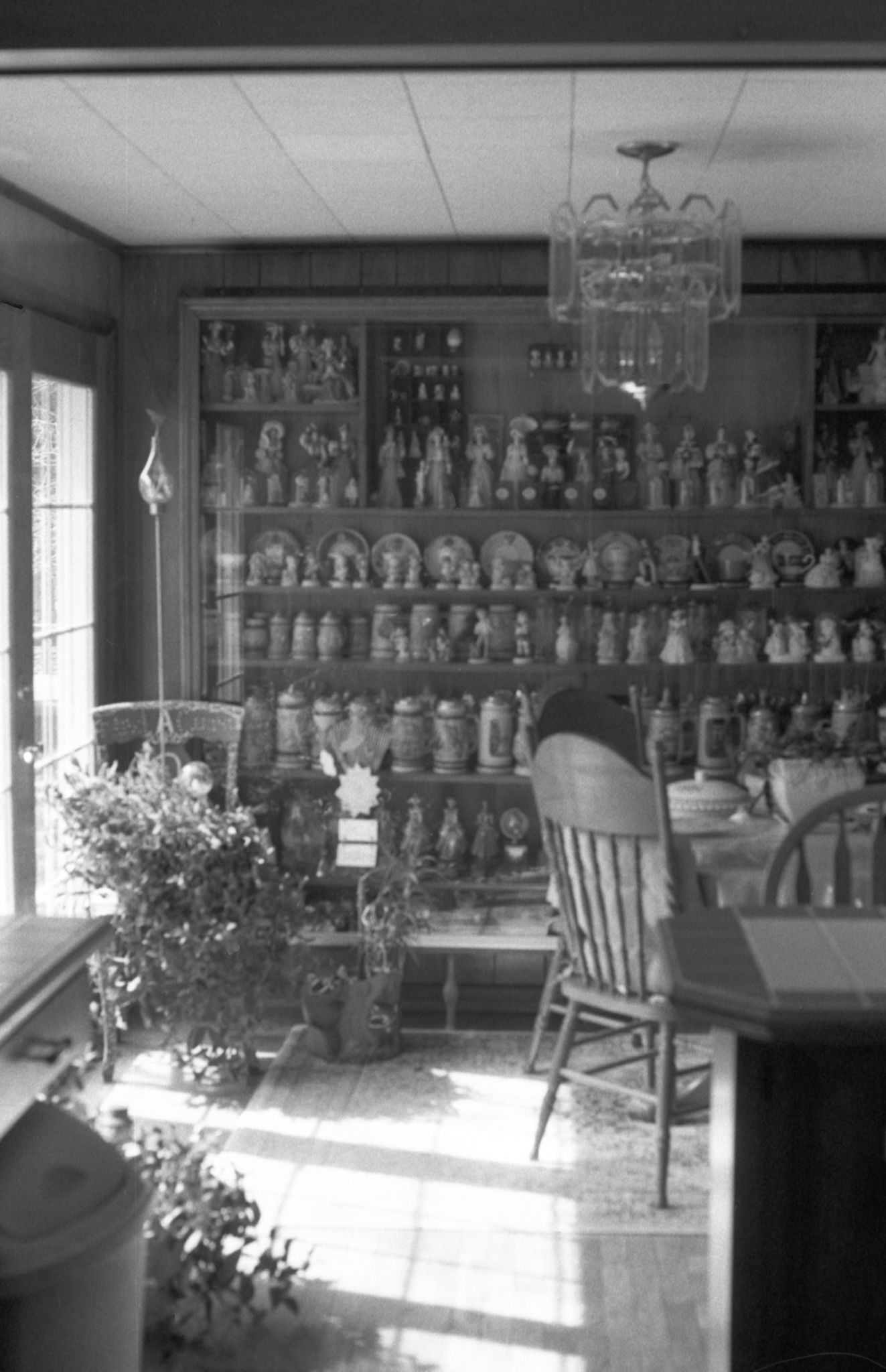 Room filled with collectible figurines displayed on shelves with sunlight streaming through window.