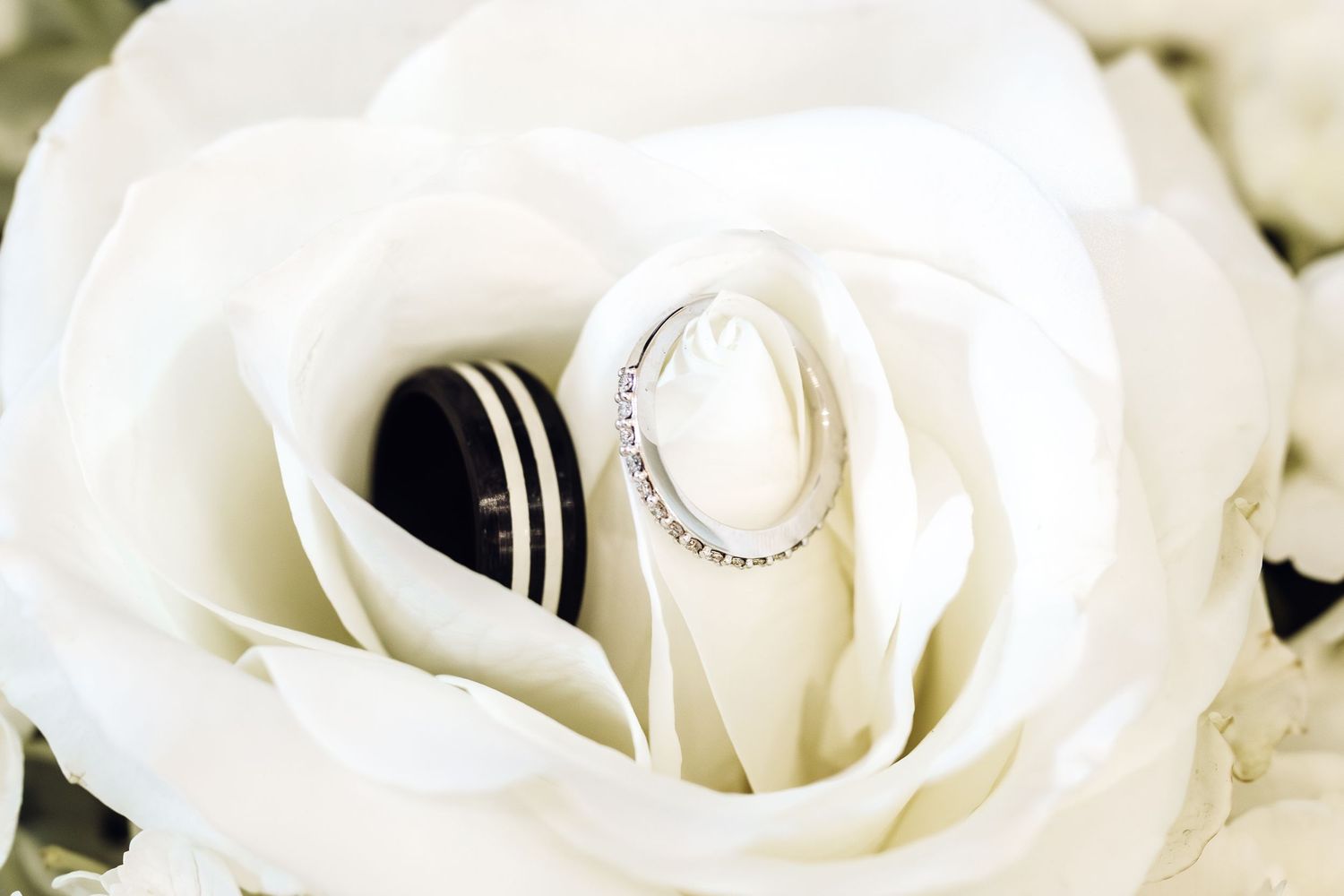 Ring Details