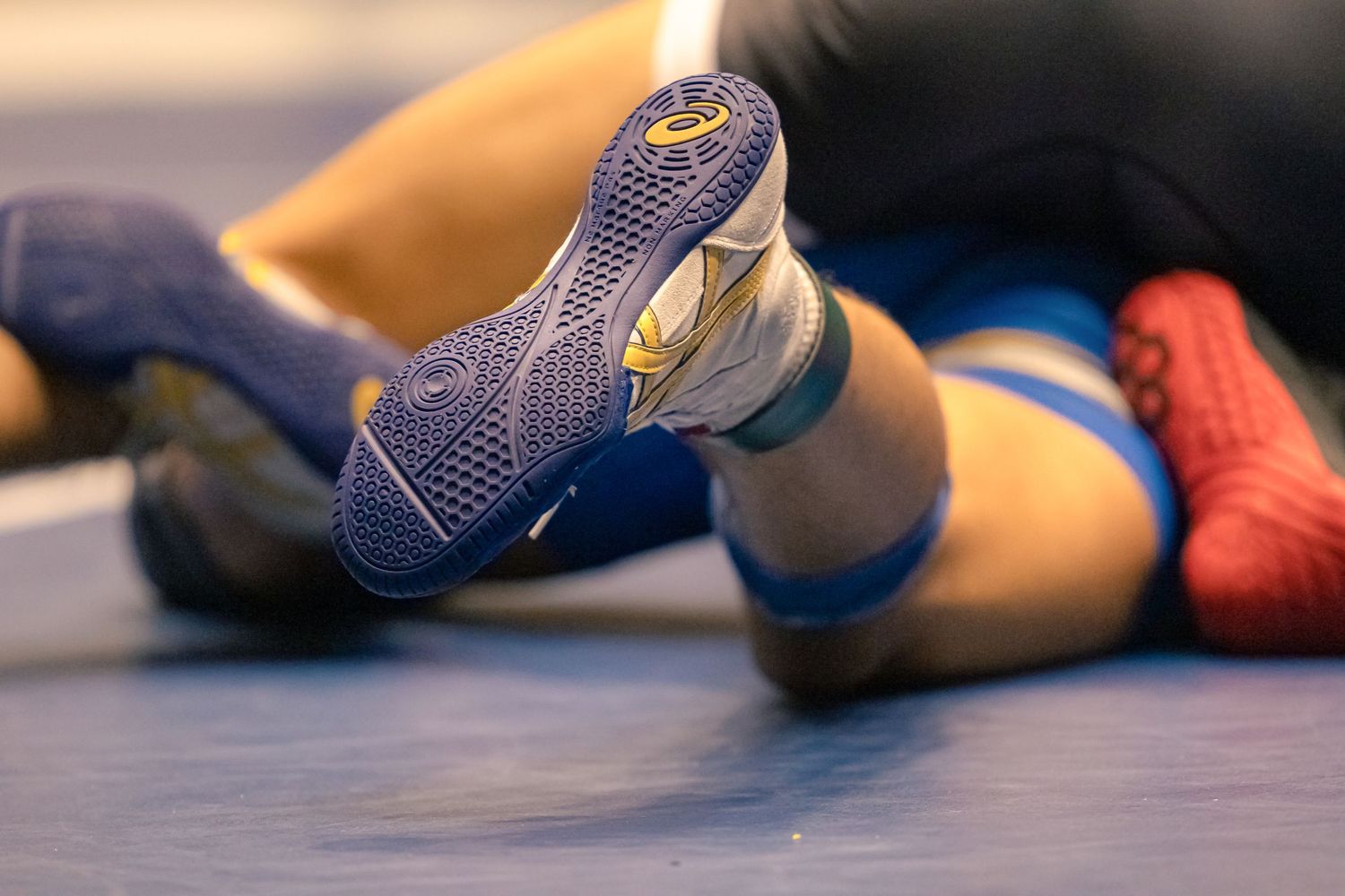 Asics Wrestling Shoes