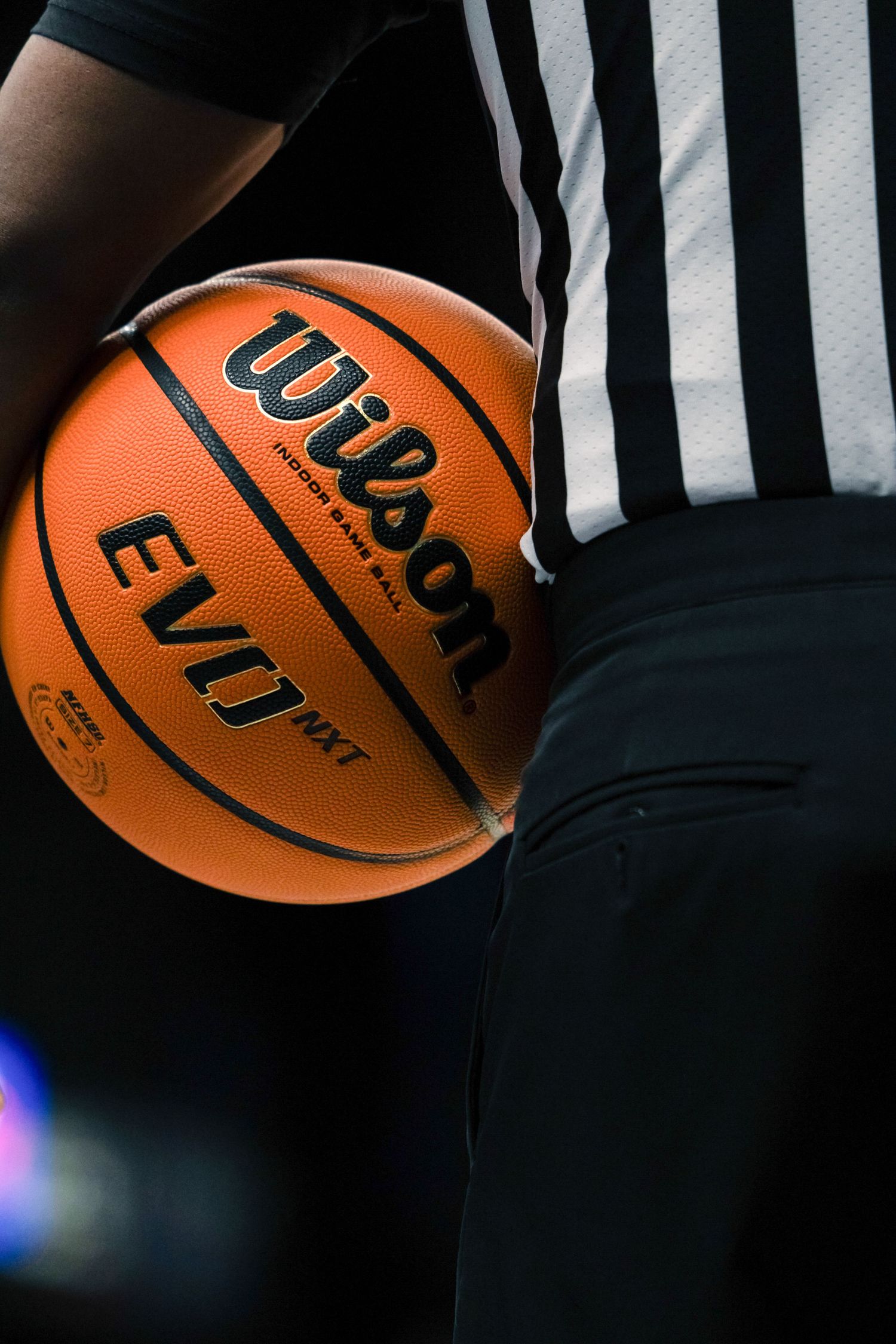 Wilson Basketball