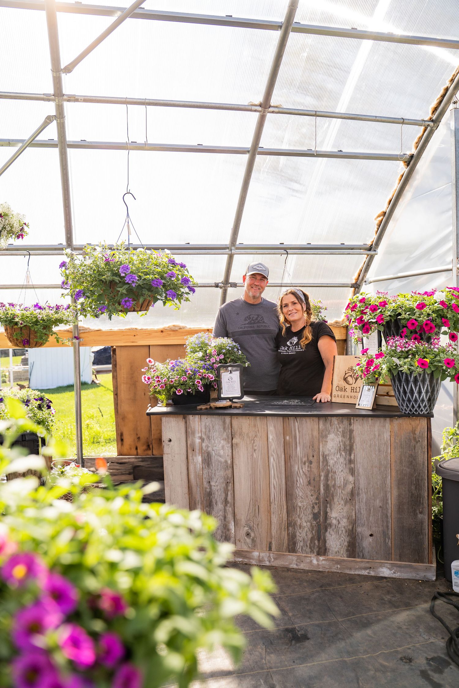 Interior view of a rustic greenhouse with wooden counter and hanging flower baskets.