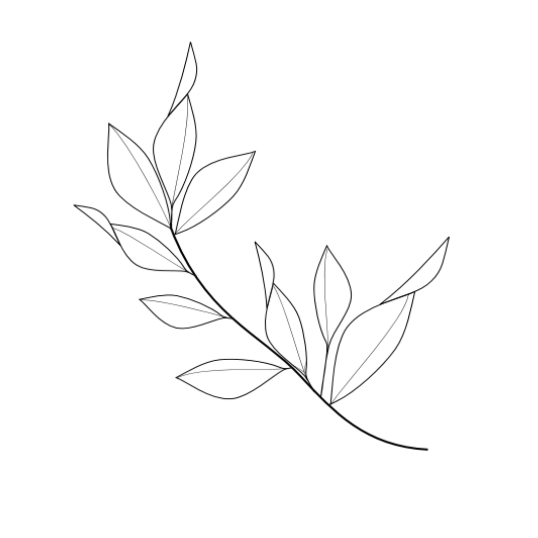 Minimalist line drawing of botanical leaves and stems.