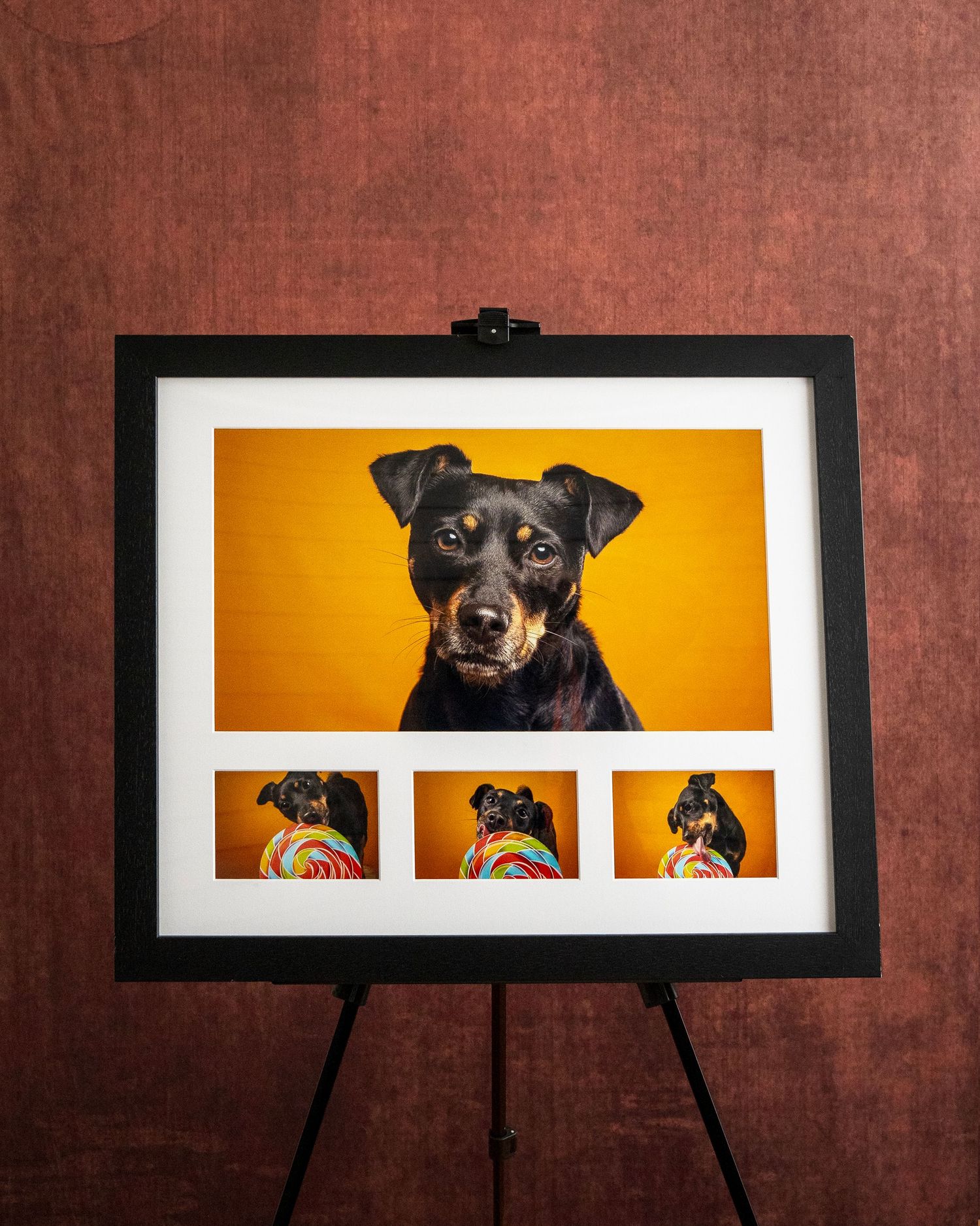 Framed black-frame photo display of a black-and-tan dog on orange background with three smaller lollipop photos on easel.