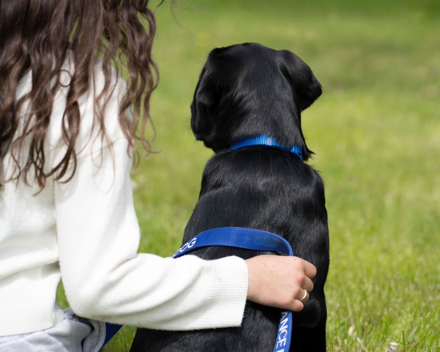 A woman in a white jacket sits beside a black Labrador wearing a blue collar on green grass.
