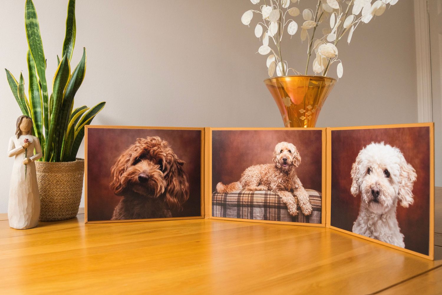 Three framed dog portraits displayed on a wooden table, featuring fluffy doodle dogs in professional studio photography.