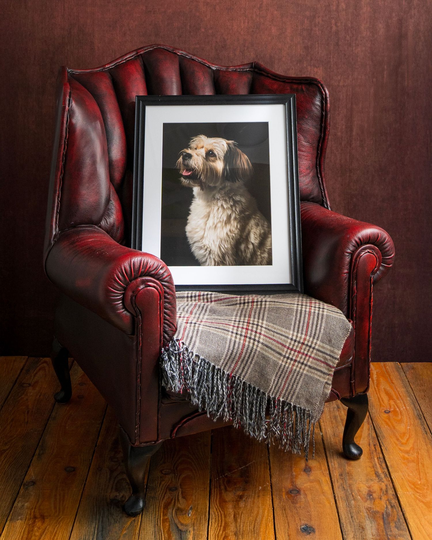 Framed portrait of a fluffy dog displayed on a vintage red leather wingback chair with a plaid wool throw.