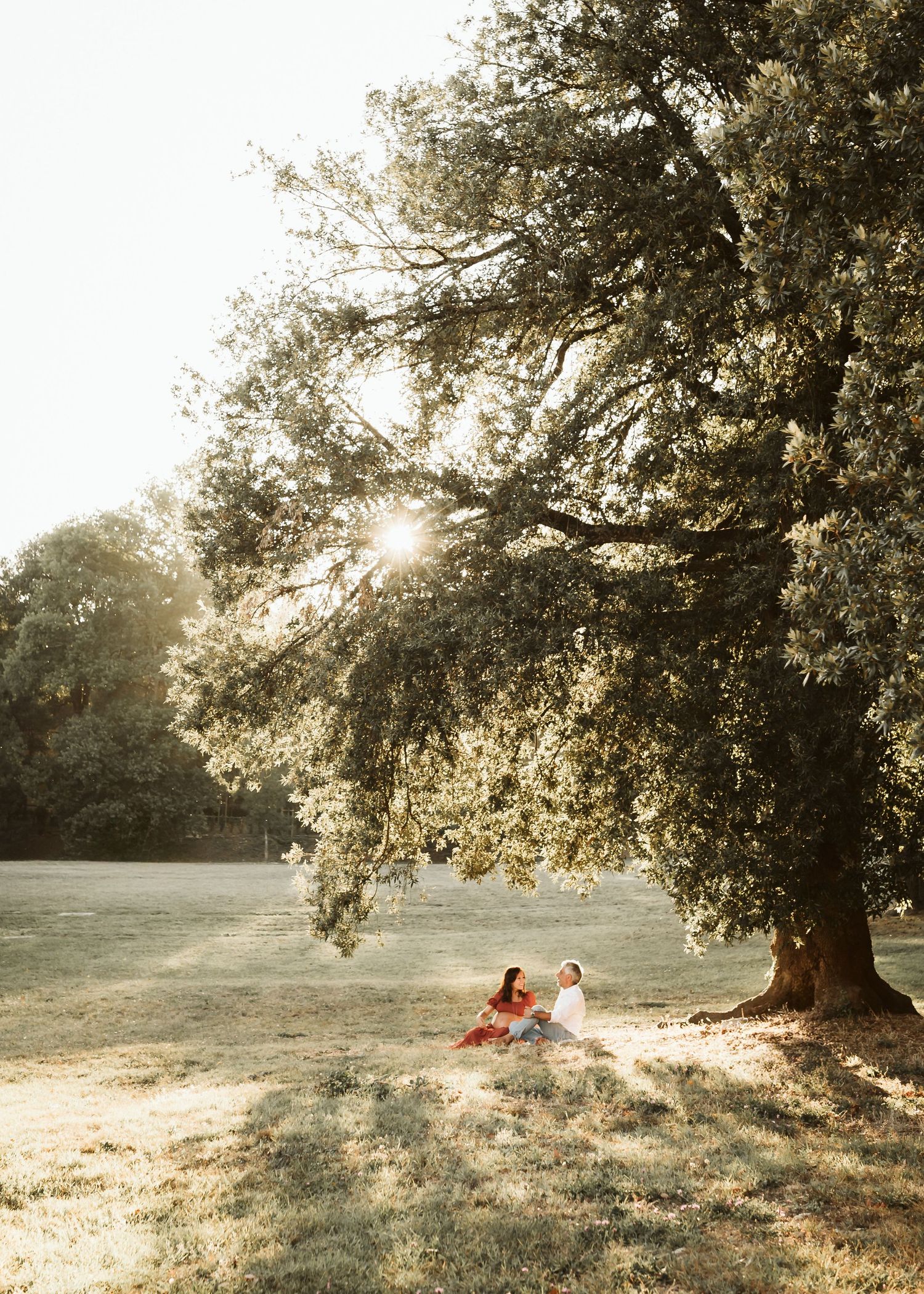Couple sitting together under a large tree in a sunlit meadow.