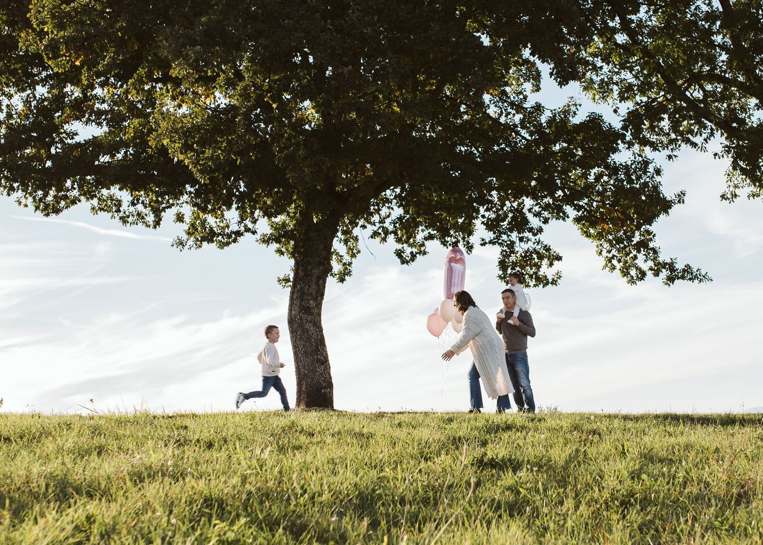 Family playing with pink balloons under large tree in open green field.