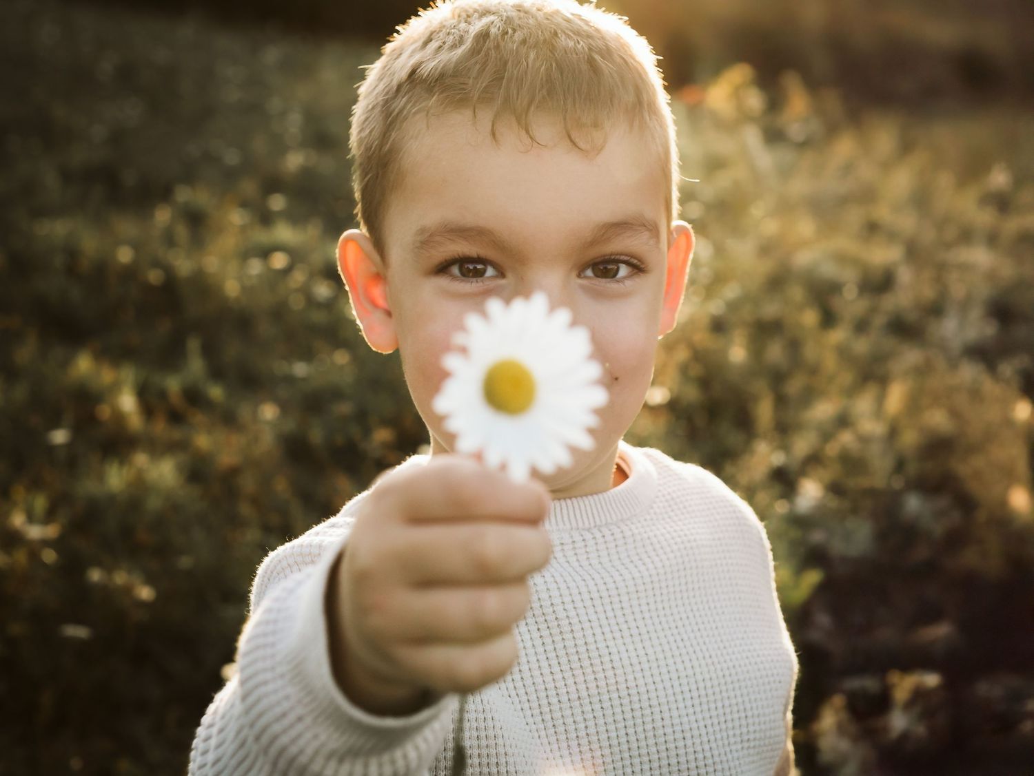 A young blonde boy holds a white daisy flower up to his face in a golden sunlit field.