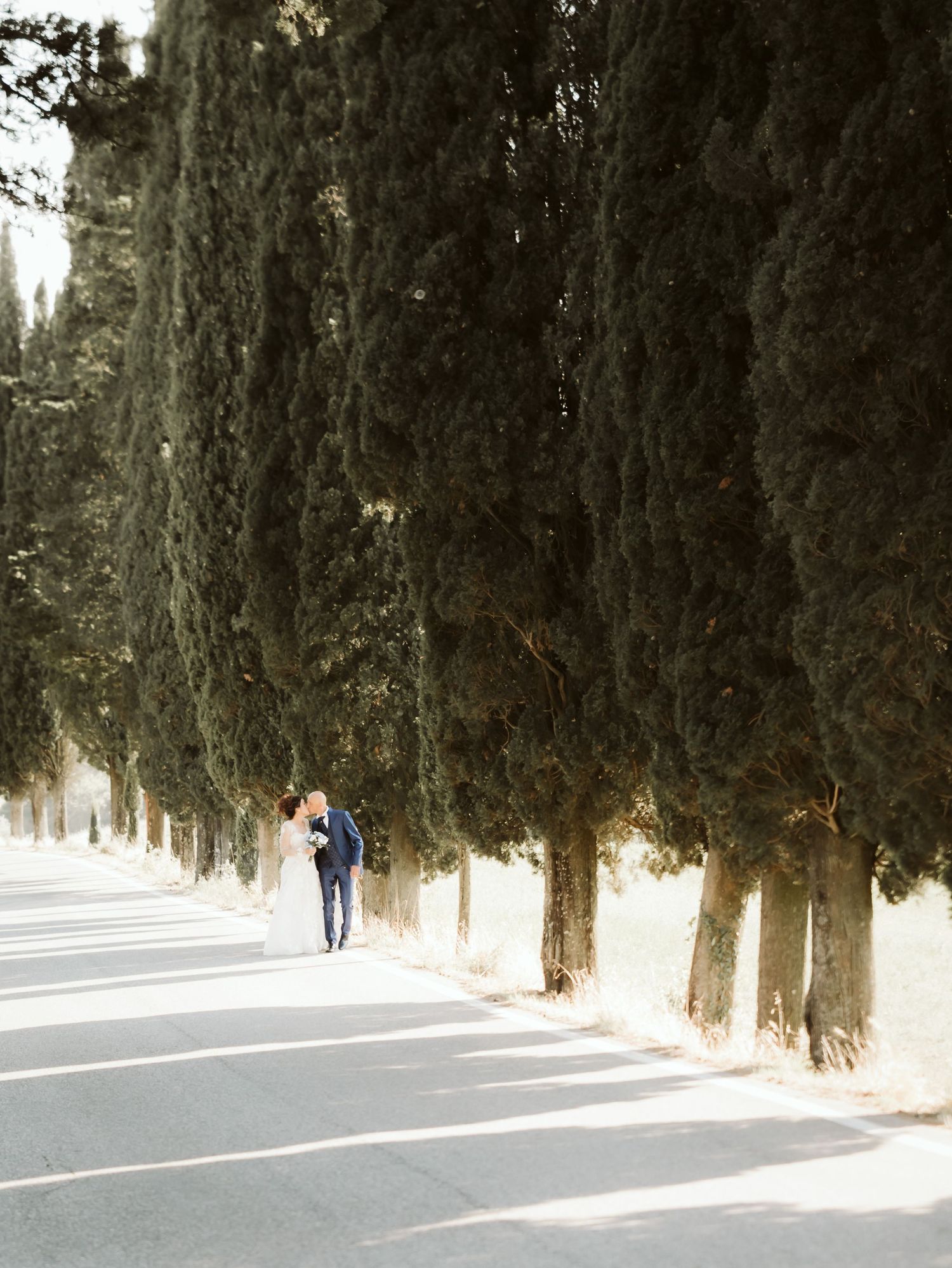 Bride and groom walking along tree-lined avenue of tall cypress trees.
