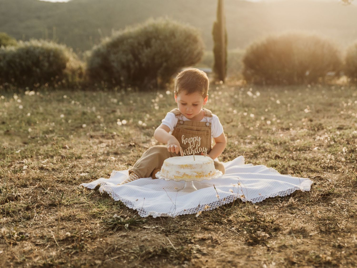 Toddler boy in overalls exploring birthday cake on white blanket in golden sunlit field.