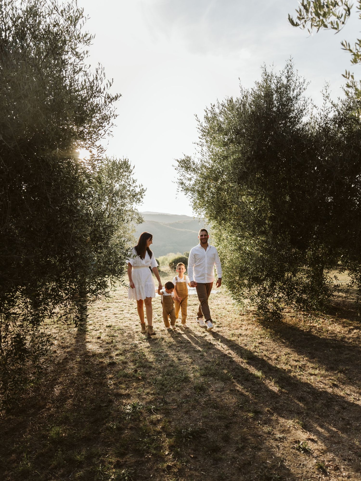 Family walking through sun-dappled olive grove on a warm day.