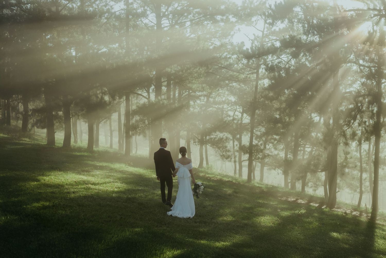 A couple walks together on a misty hillside with sunbeams streaming through trees in a dreamy forest setting.