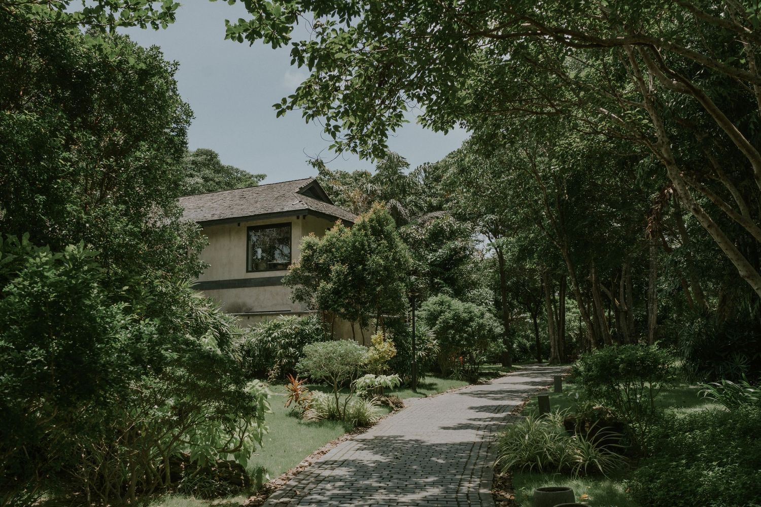 A winding garden path leads to a modern house nestled among lush green trees and landscaping.
