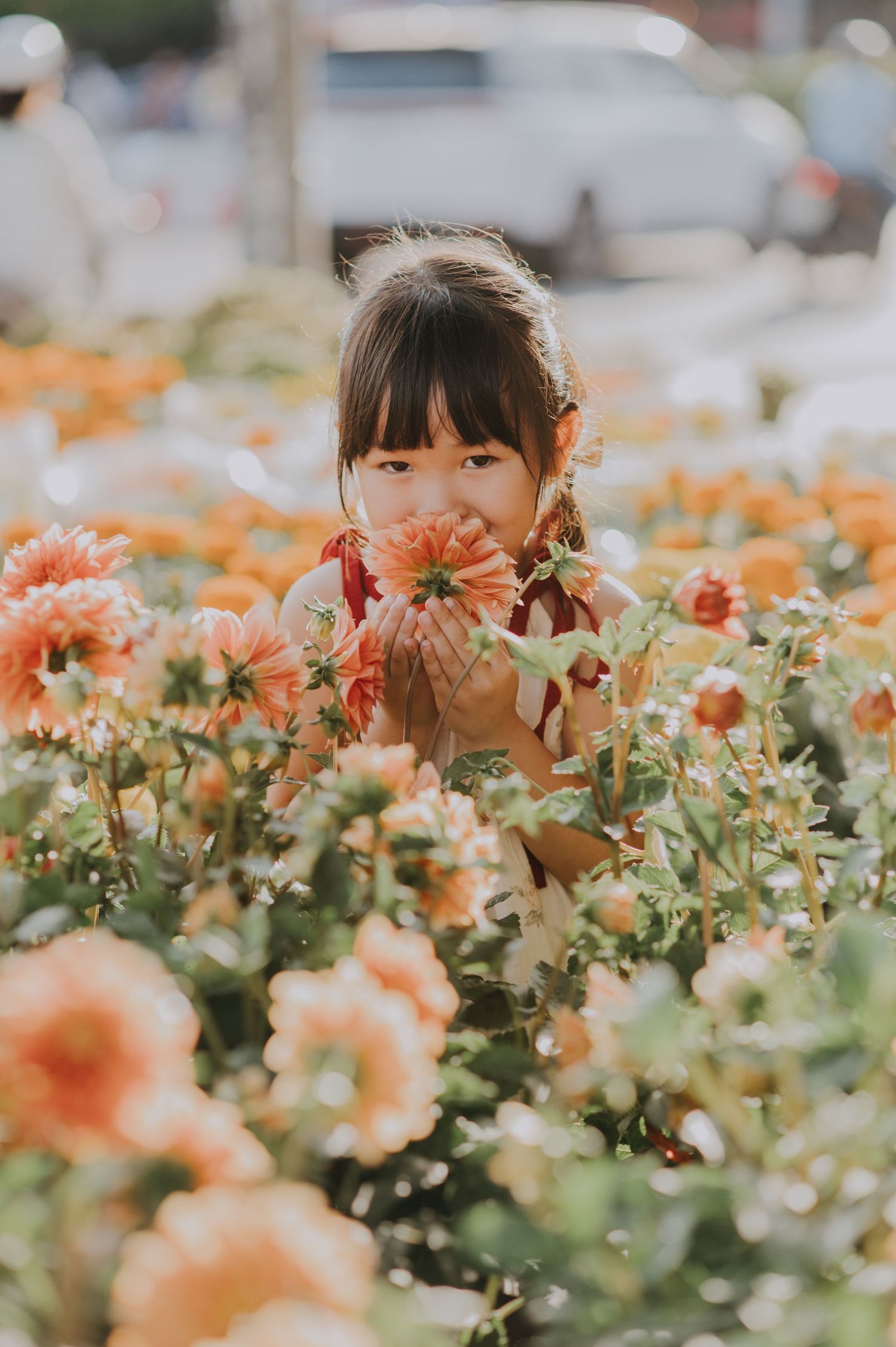 Child smelling orange flowers in garden during golden hour photography session.
