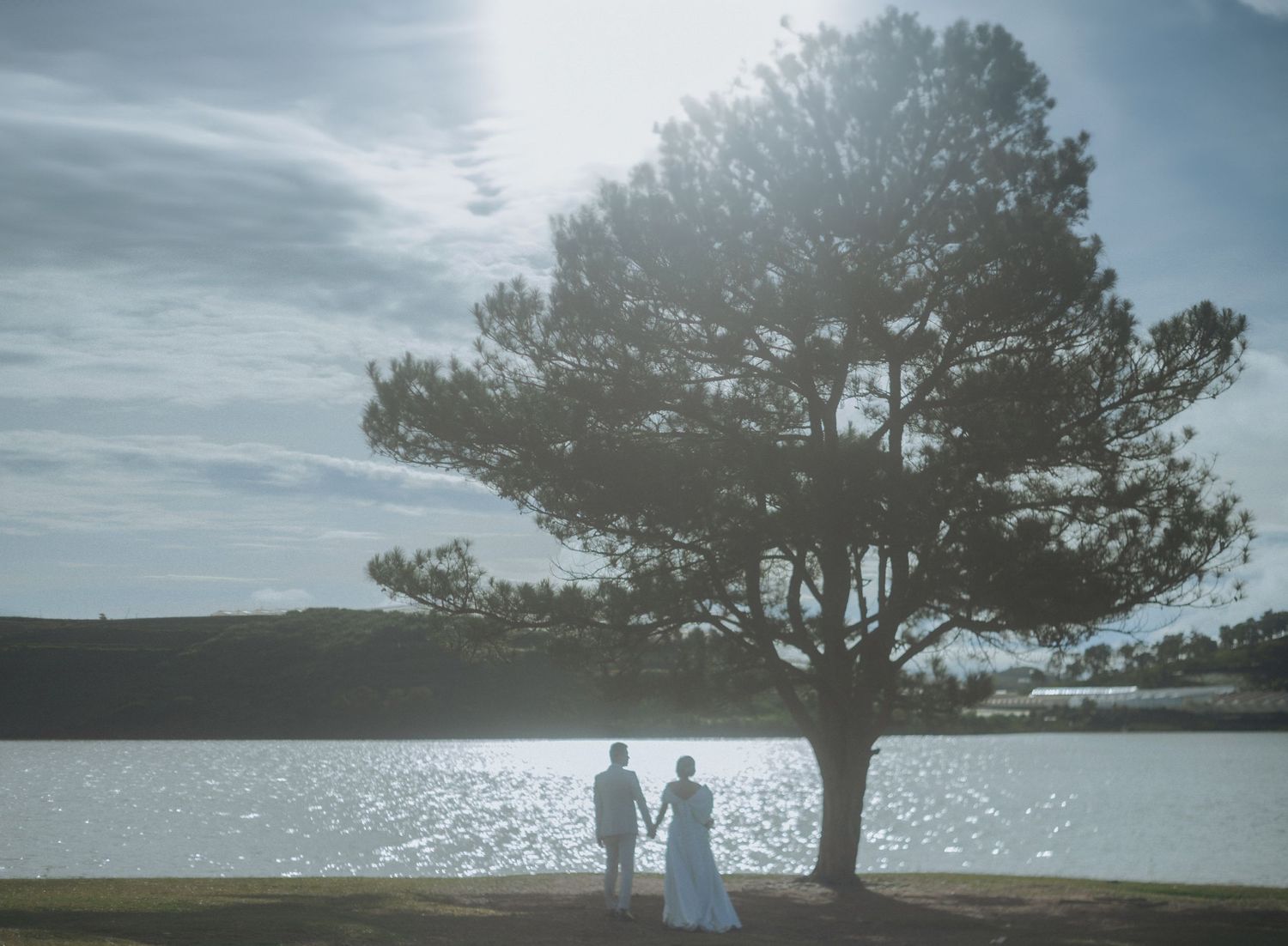 Two silhouettes stand together holding hands beside a large tree overlooking a sunlit lake on a misty day.
