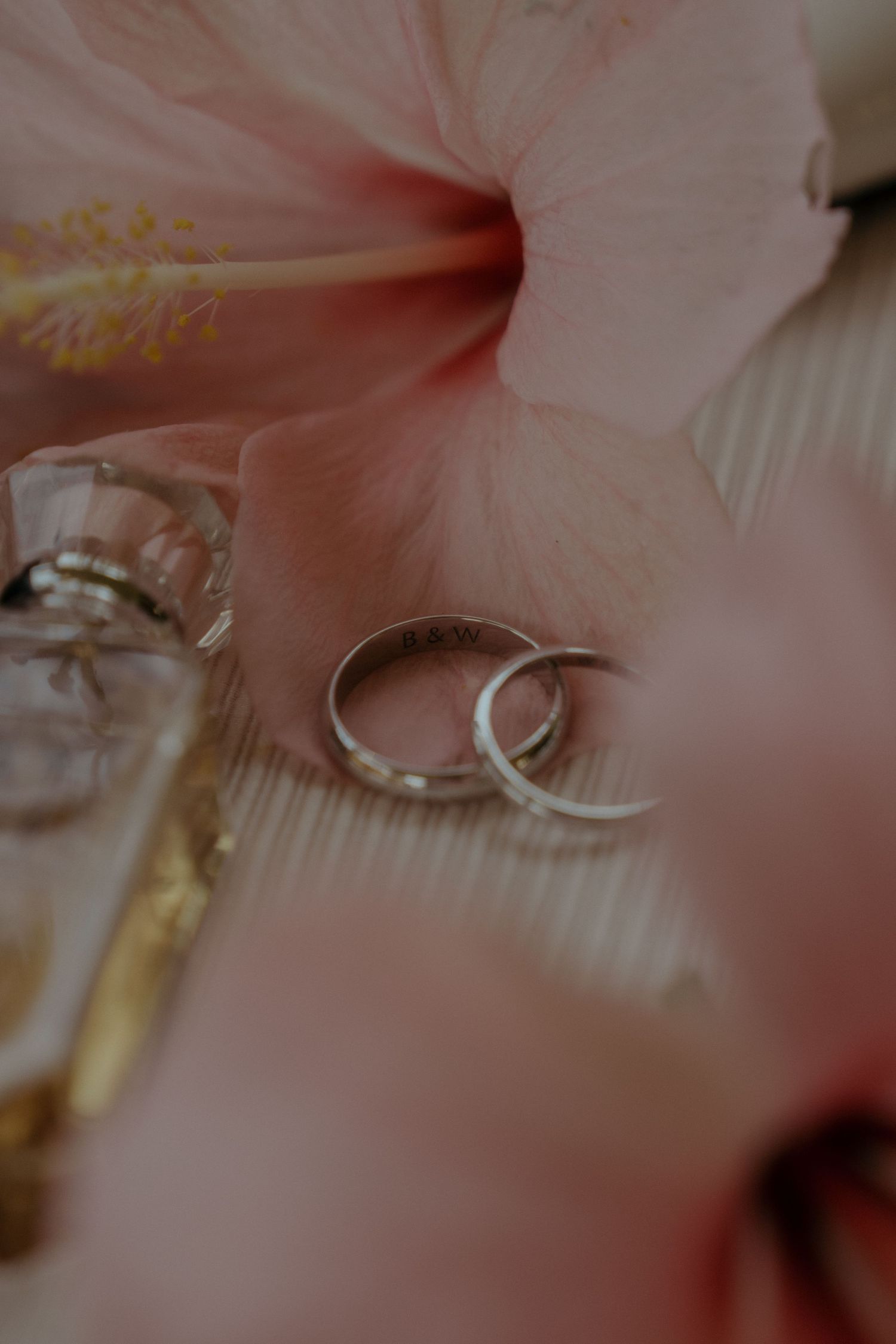 Wedding rings nestled beside a soft pink hibiscus flower on a textured white surface in dreamy macro photography.
