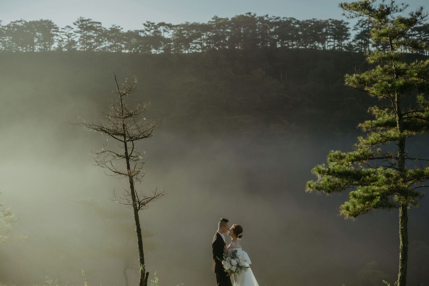 A couple shares a romantic moment in misty forest scenery with tall pine trees during a foggy morning.
