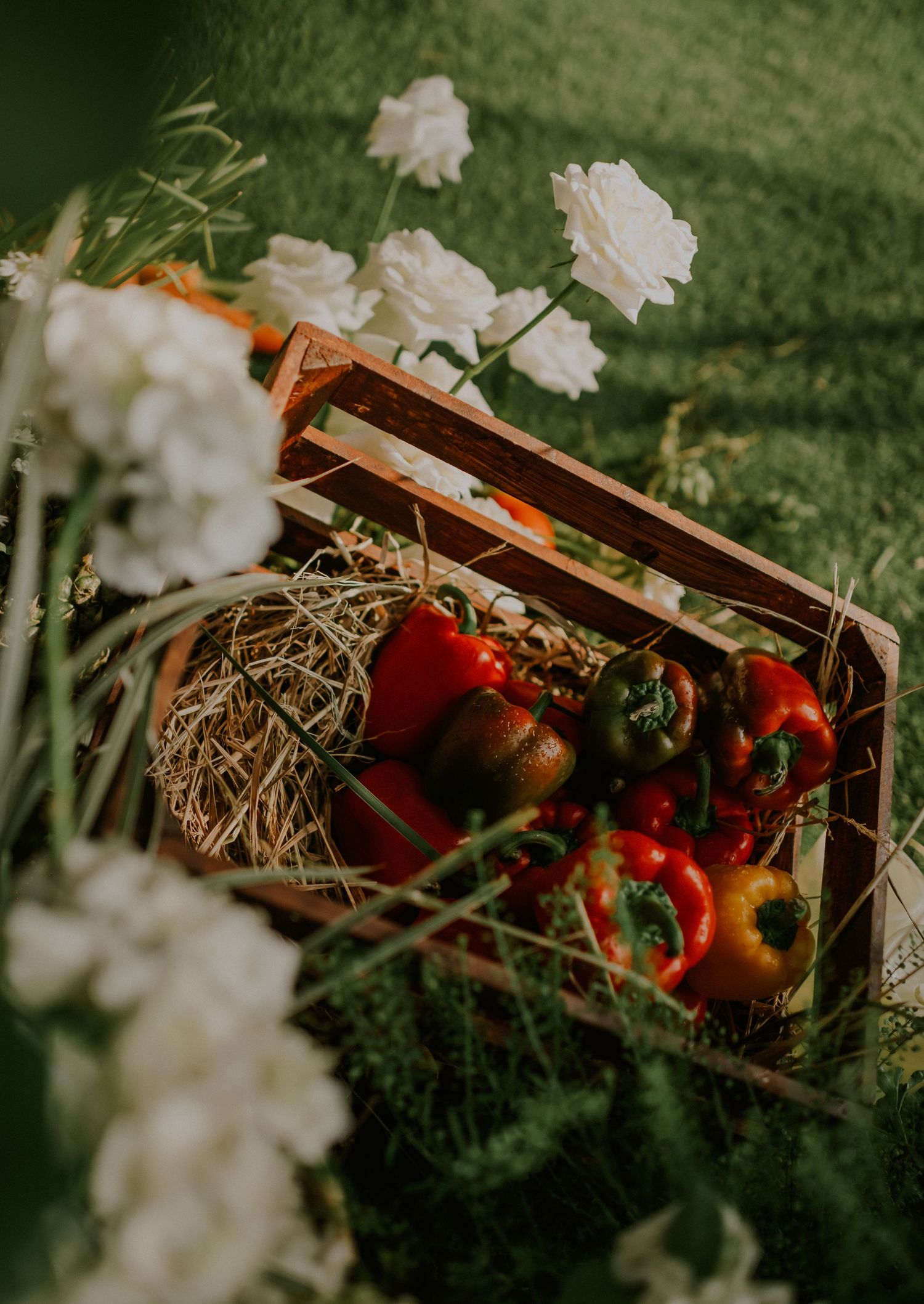 Red bell peppers displayed in a rustic wooden crate with white roses and hay on green grass.