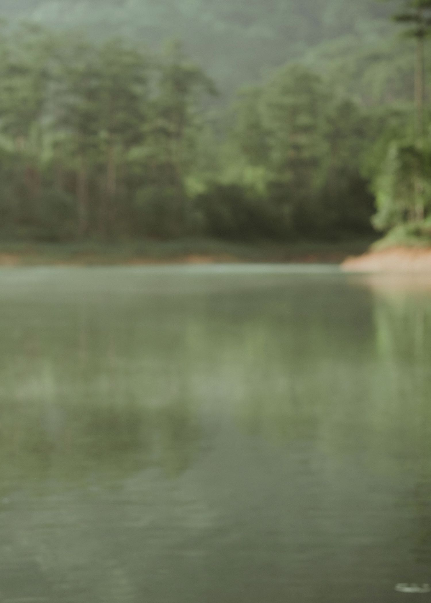 Misty forested lake with calm green water reflecting trees along the shoreline on an overcast day.