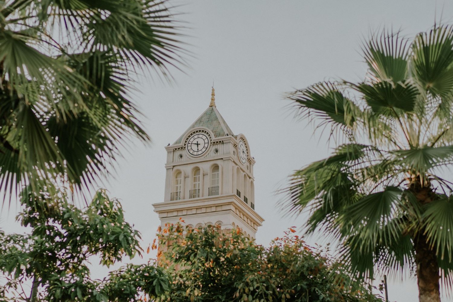 Elegant tower with Spanish colonial architecture framed by tropical palm trees.