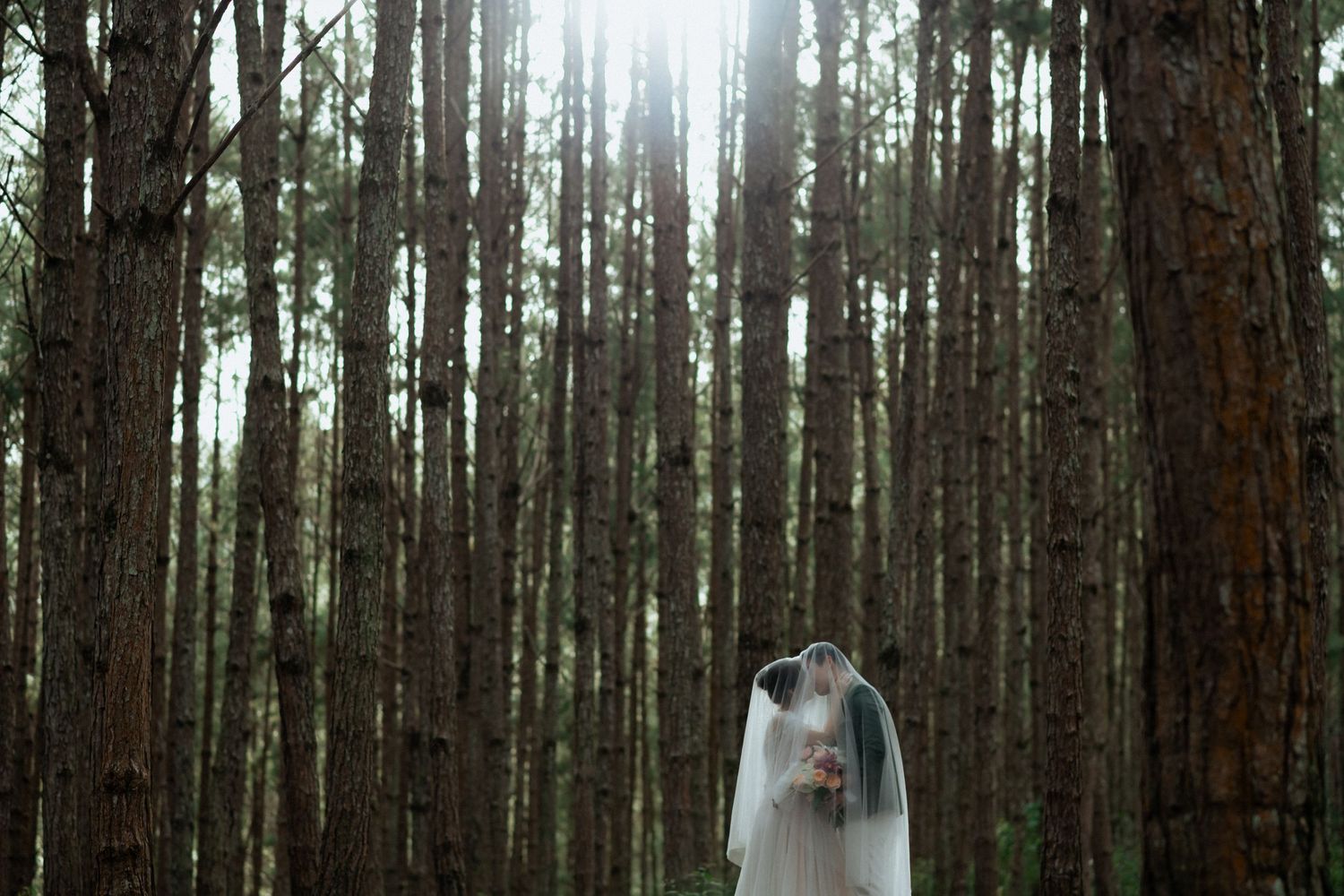 A mysterious figure in a long white veil stands among tall pine trees in a misty forest.