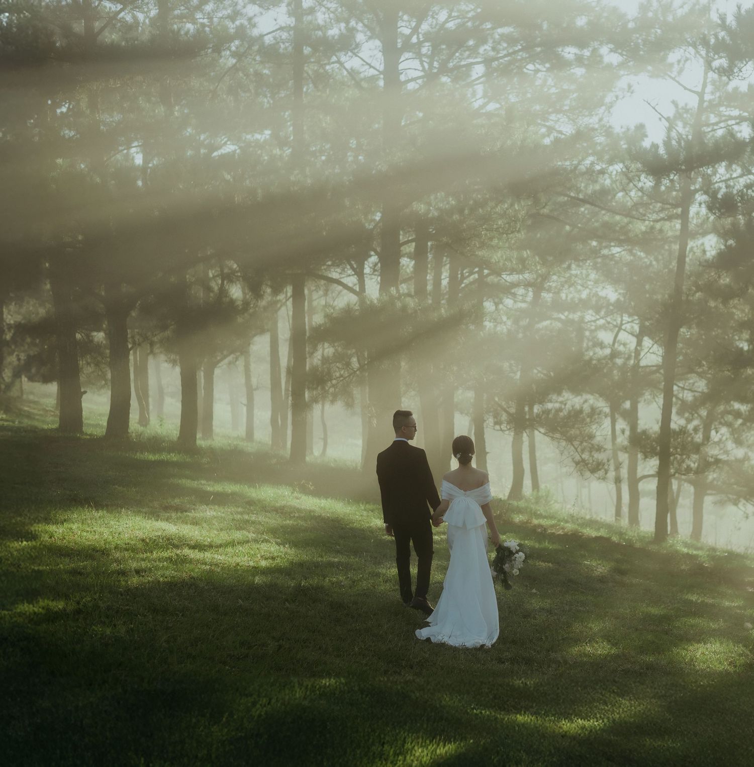 A couple walks hand in hand on a misty hillside with sun rays filtering through tall pine trees in the background.