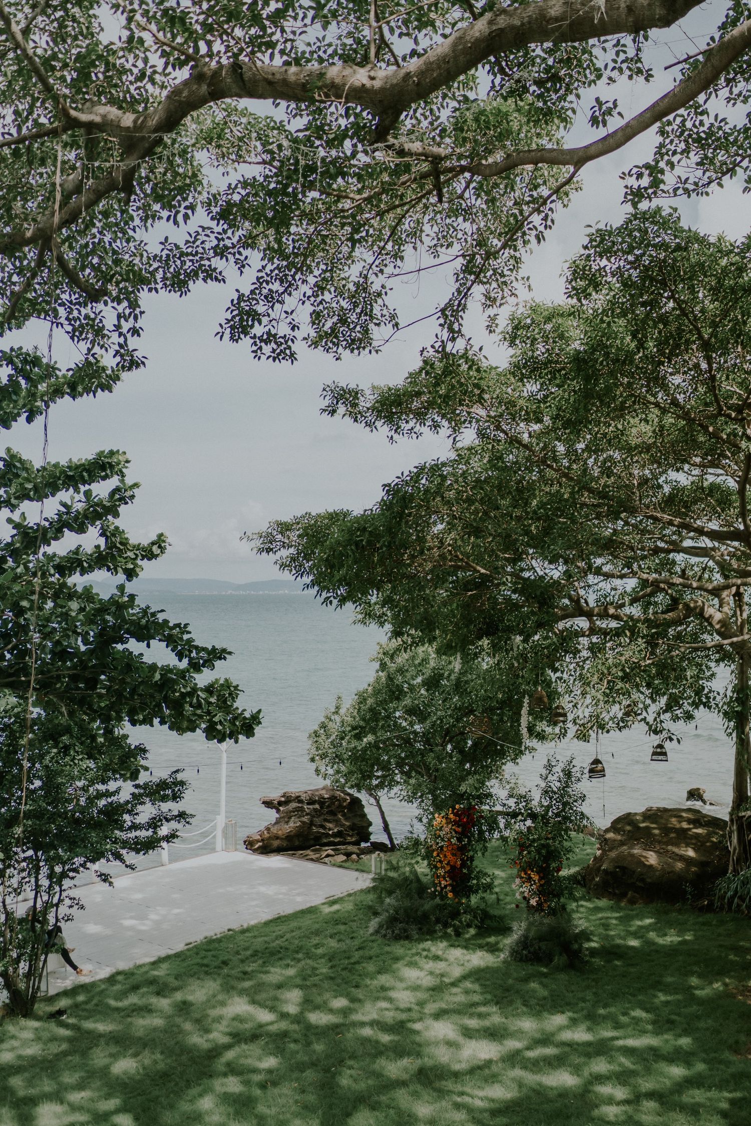 Scenic coastal view through tree branches overlooking calm waters.