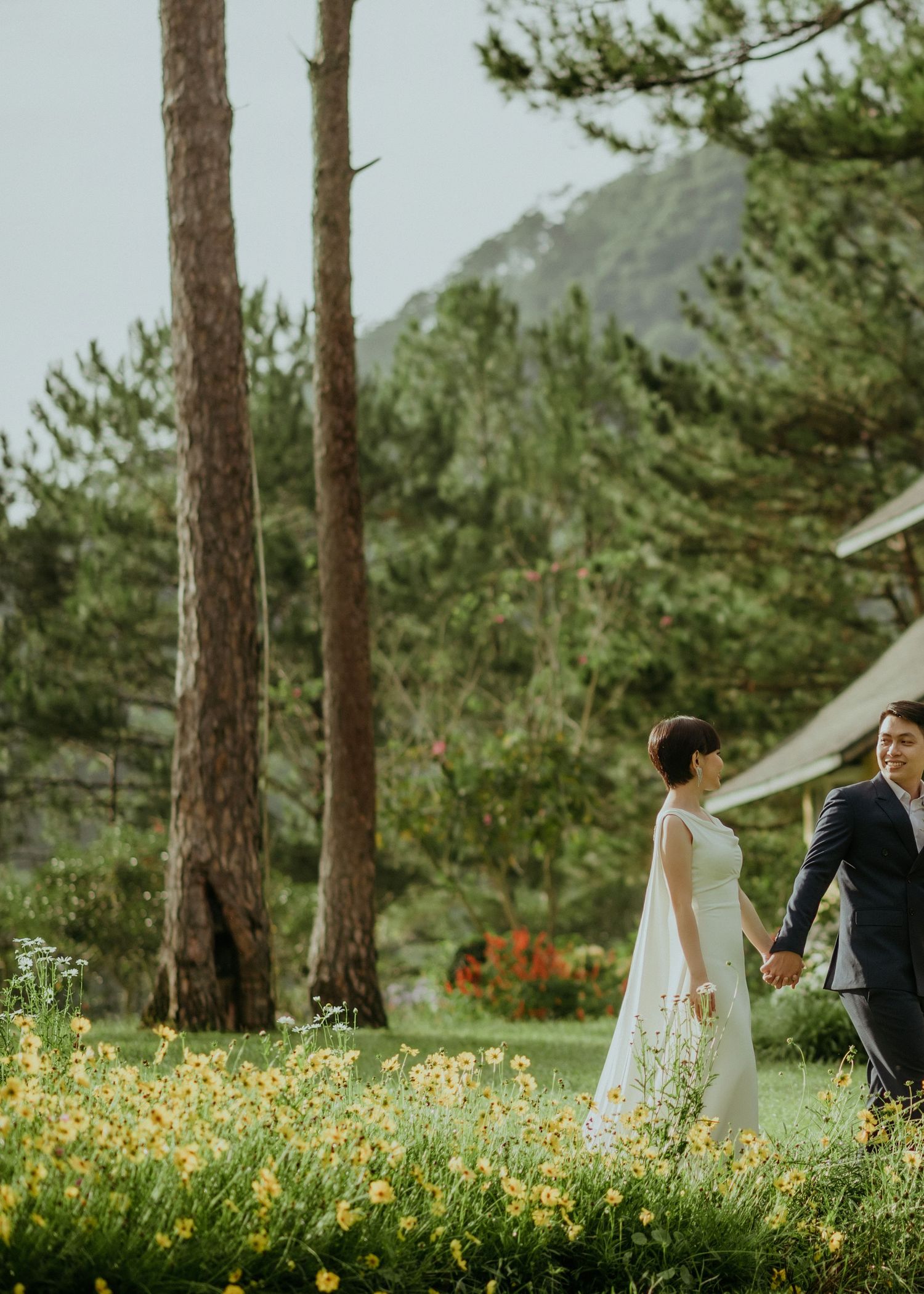 A couple walks hand in hand through a sunlit meadow with pine trees and mountains in the background.