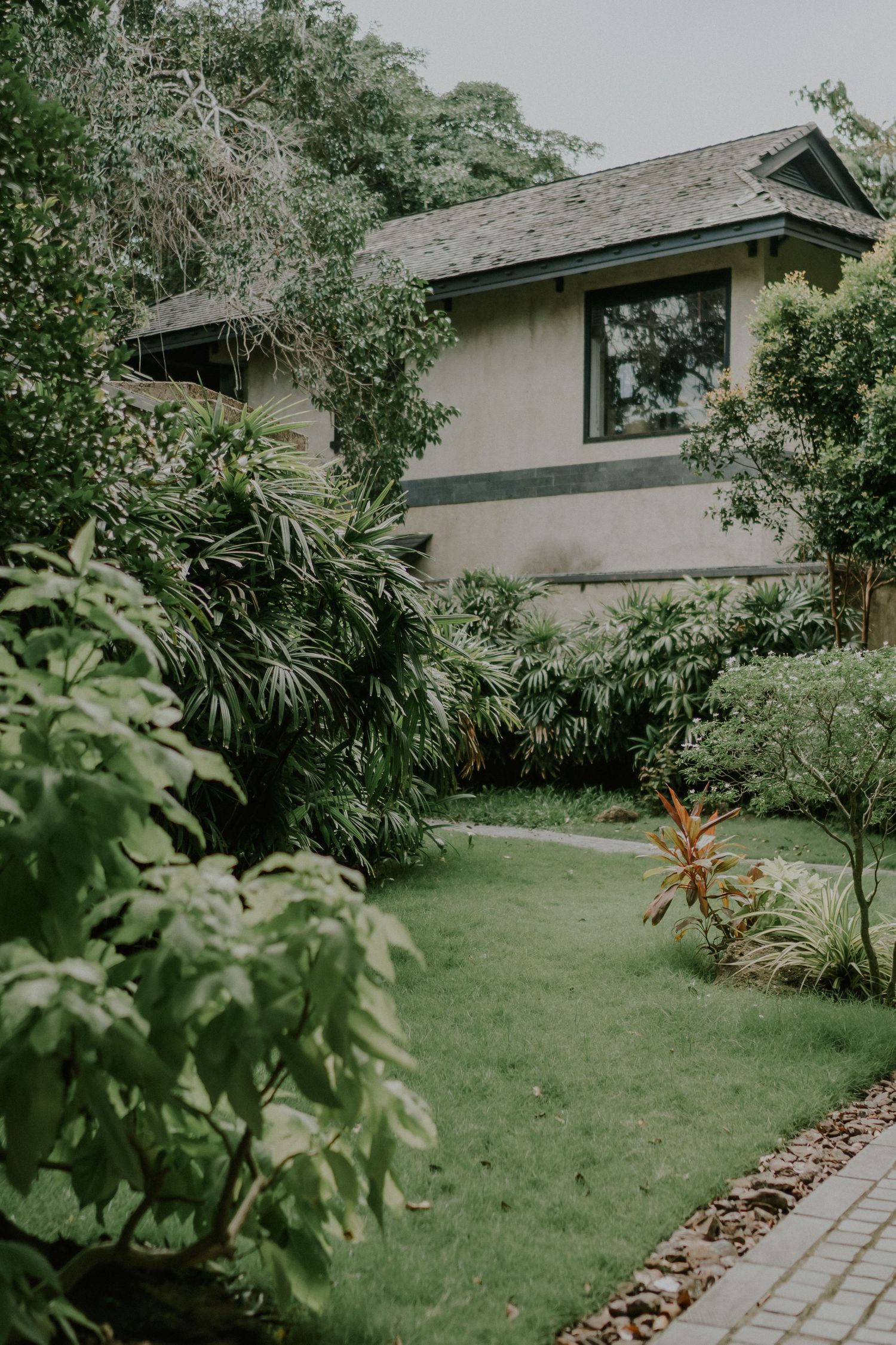 Modern house exterior with landscaped garden and stone pathway.