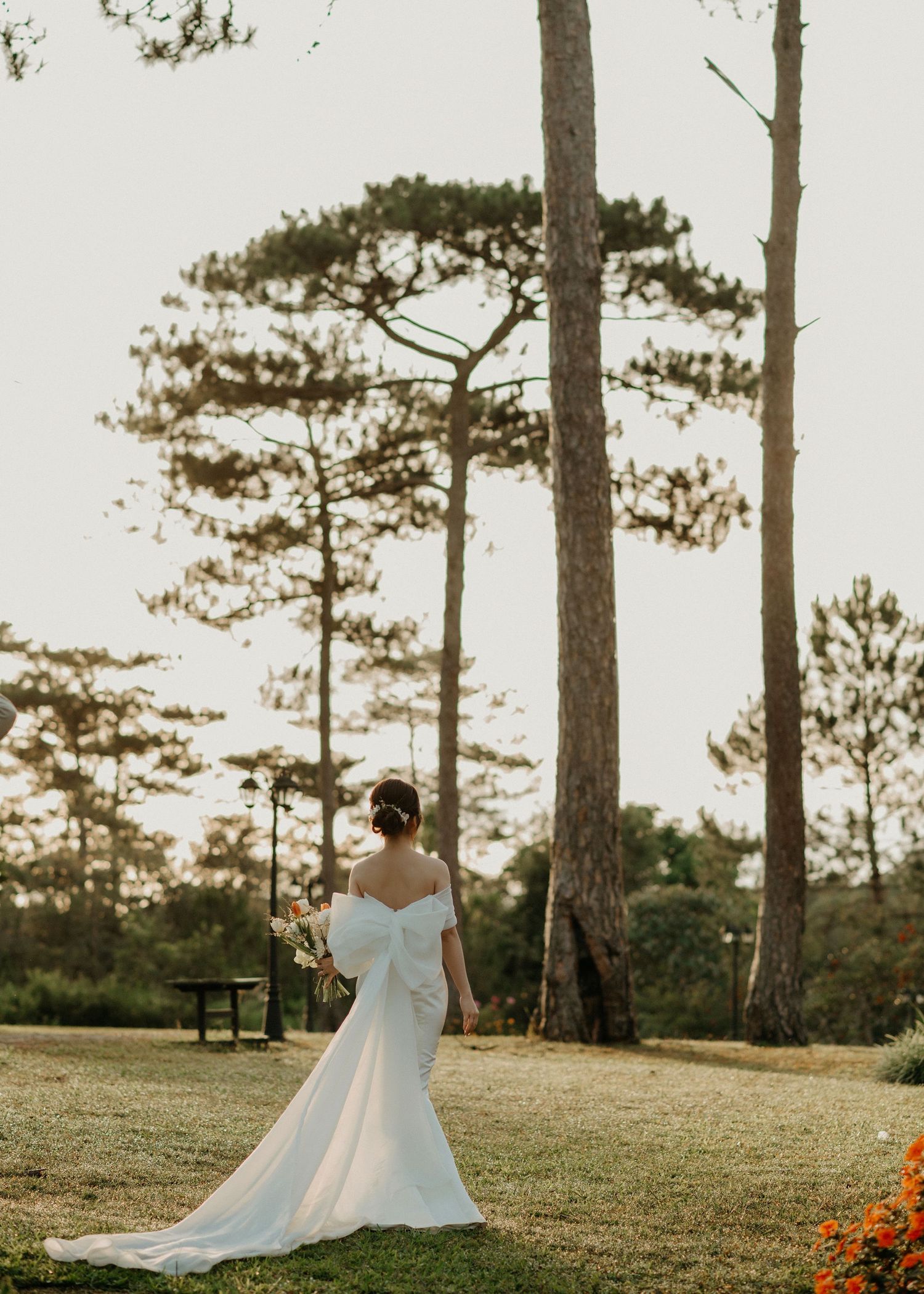 A bride in an elegant off-shoulder wedding dress stands between tall pine trees on a grassy lawn at sunset.