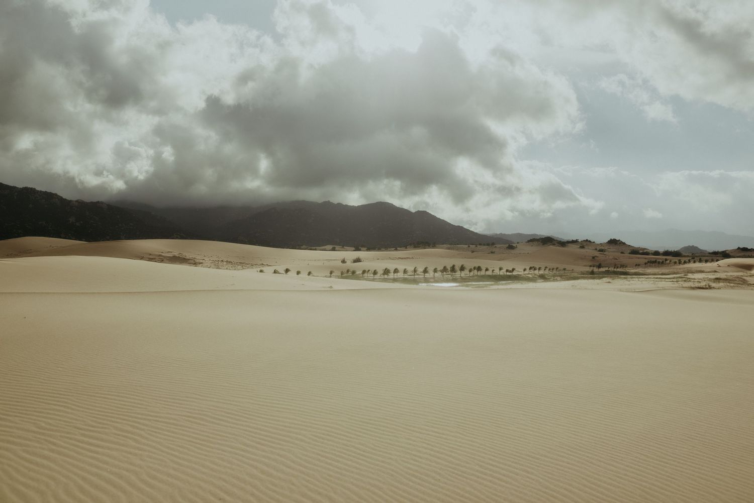 A vast sandy desert landscape with rippling dunes stretches beneath dramatic storm clouds in a moody sky.