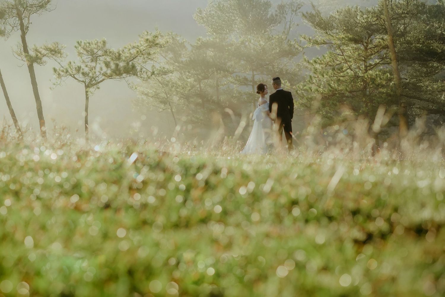 A couple in wedding attire stands in a misty meadow surrounded by wildflowers during golden hour.