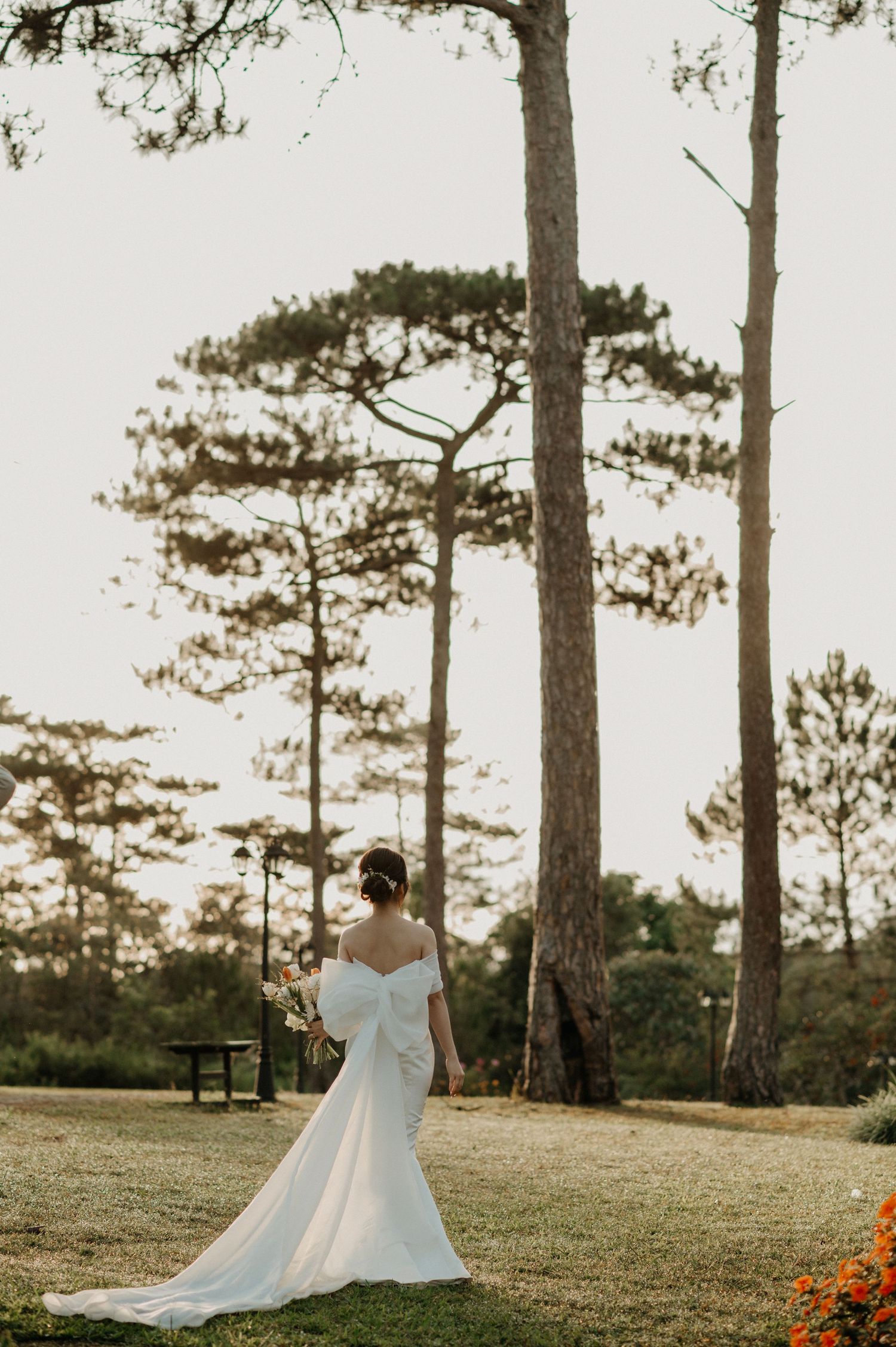 A dreamy outdoor wedding scene with a white gown silhouette against tall pine trees in a serene forest setting.