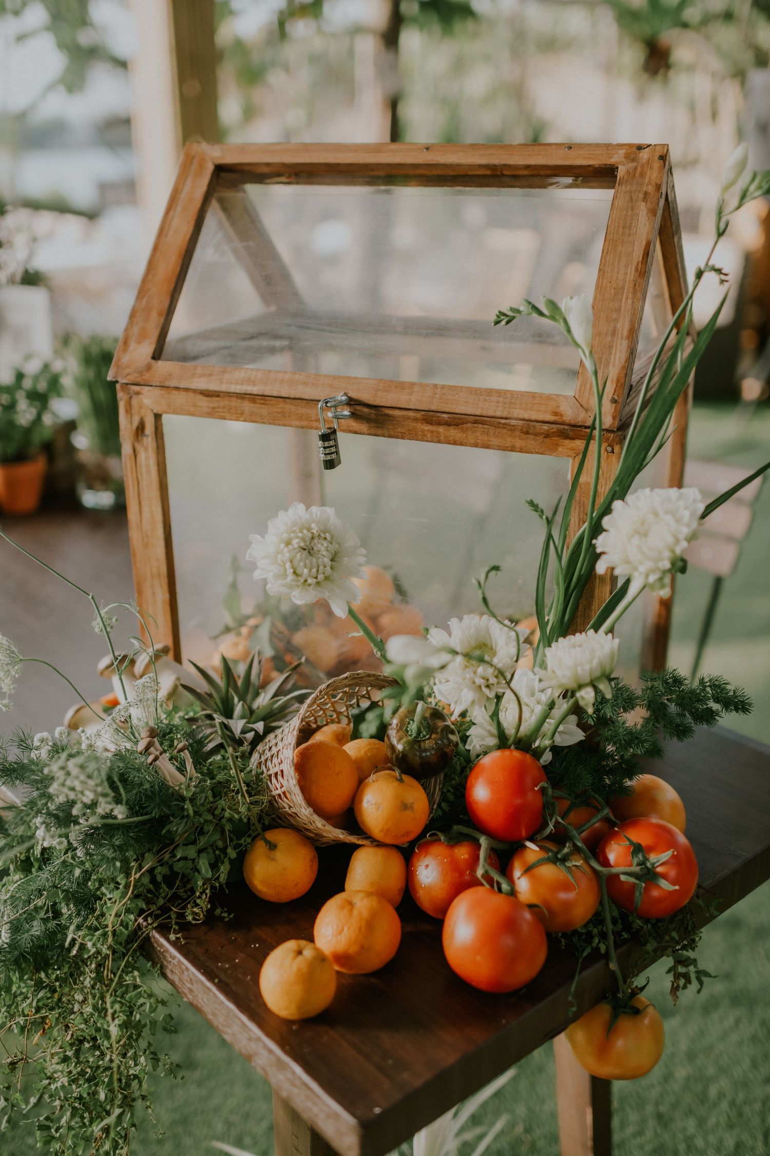 Wooden terrarium display with fresh citrus fruits and white flowers on green surface.