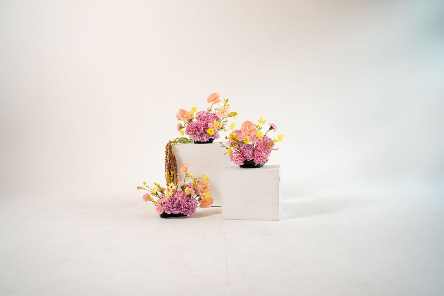 Minimalist white boxes decorated with colorful flower arrangements against light background.