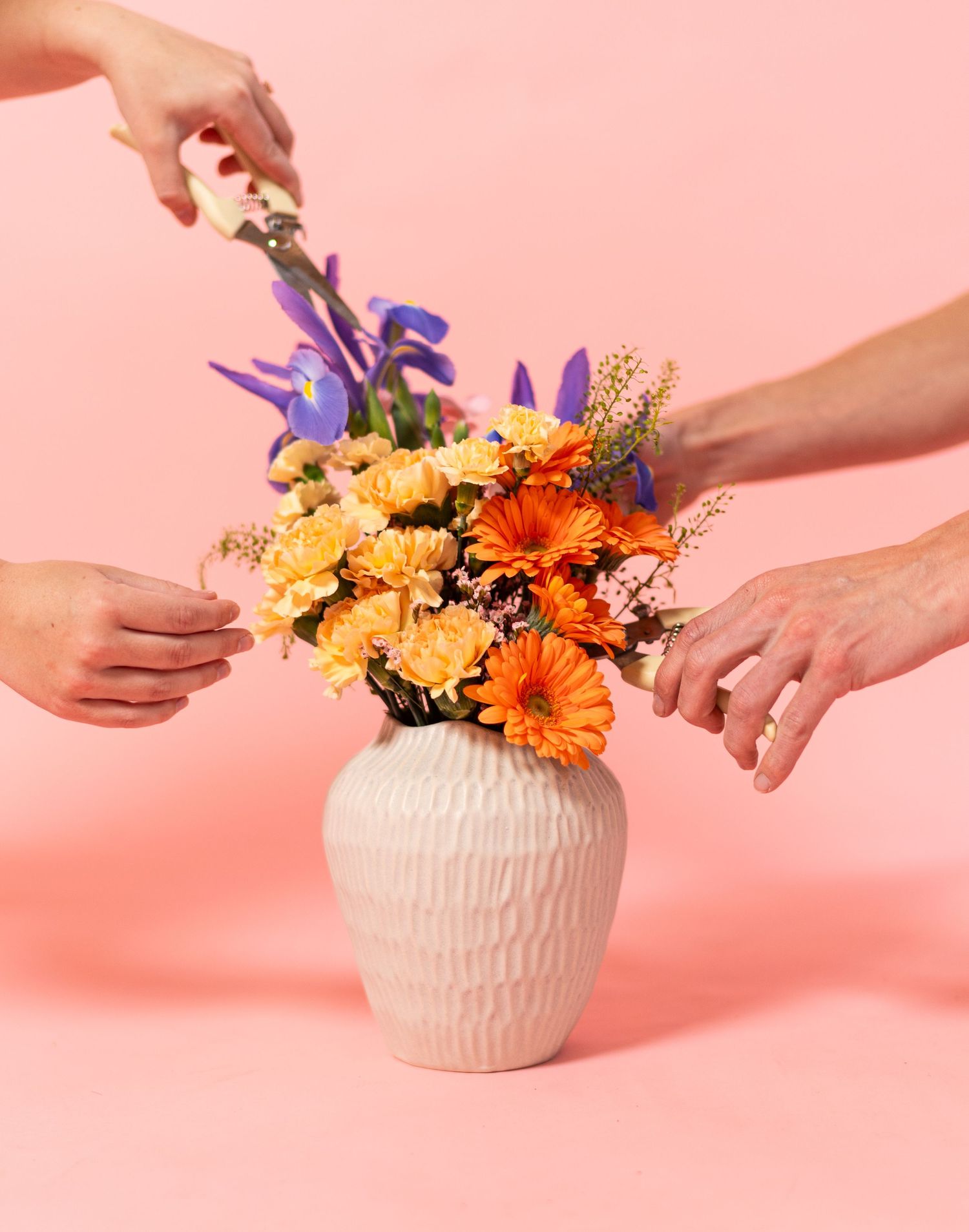 Hands arranging colorful flowers in textured white vase against pink backdrop.