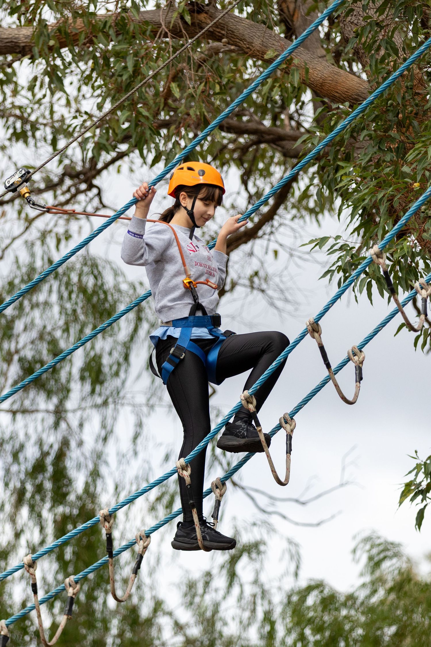 Person navigating a high ropes course wearing safety gear and orange helmet among tree branches.