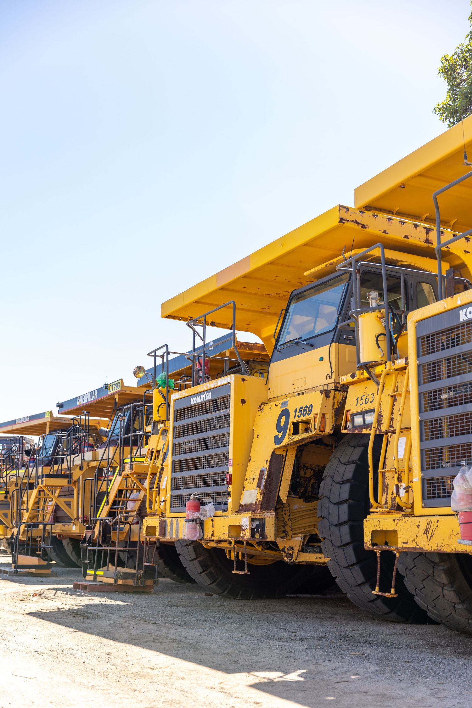Large yellow mining dump trucks lined up at a construction site under bright blue sky with extended canopies.