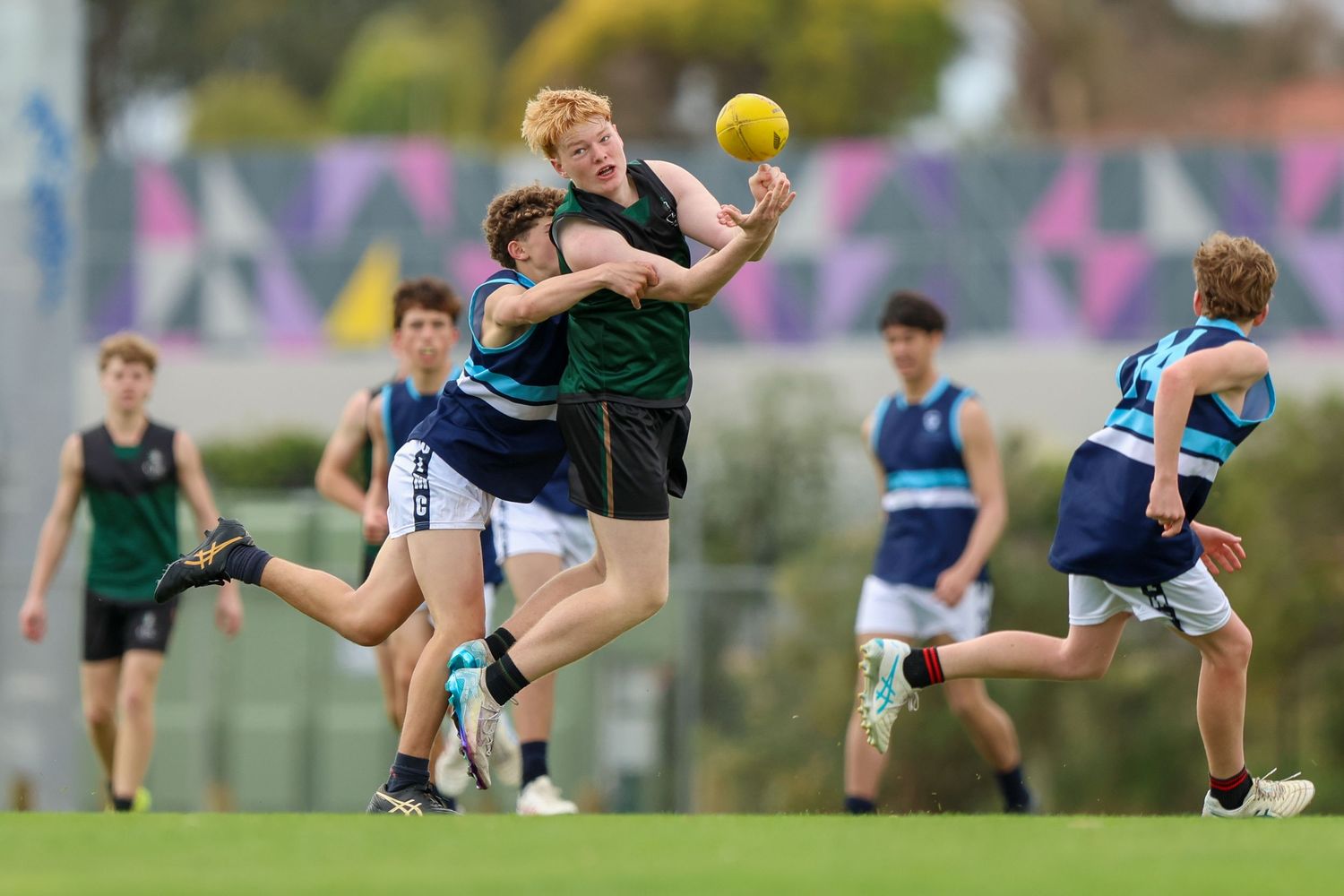 Athletic players leap high in competitive action during an outdoor Australian rules football match.