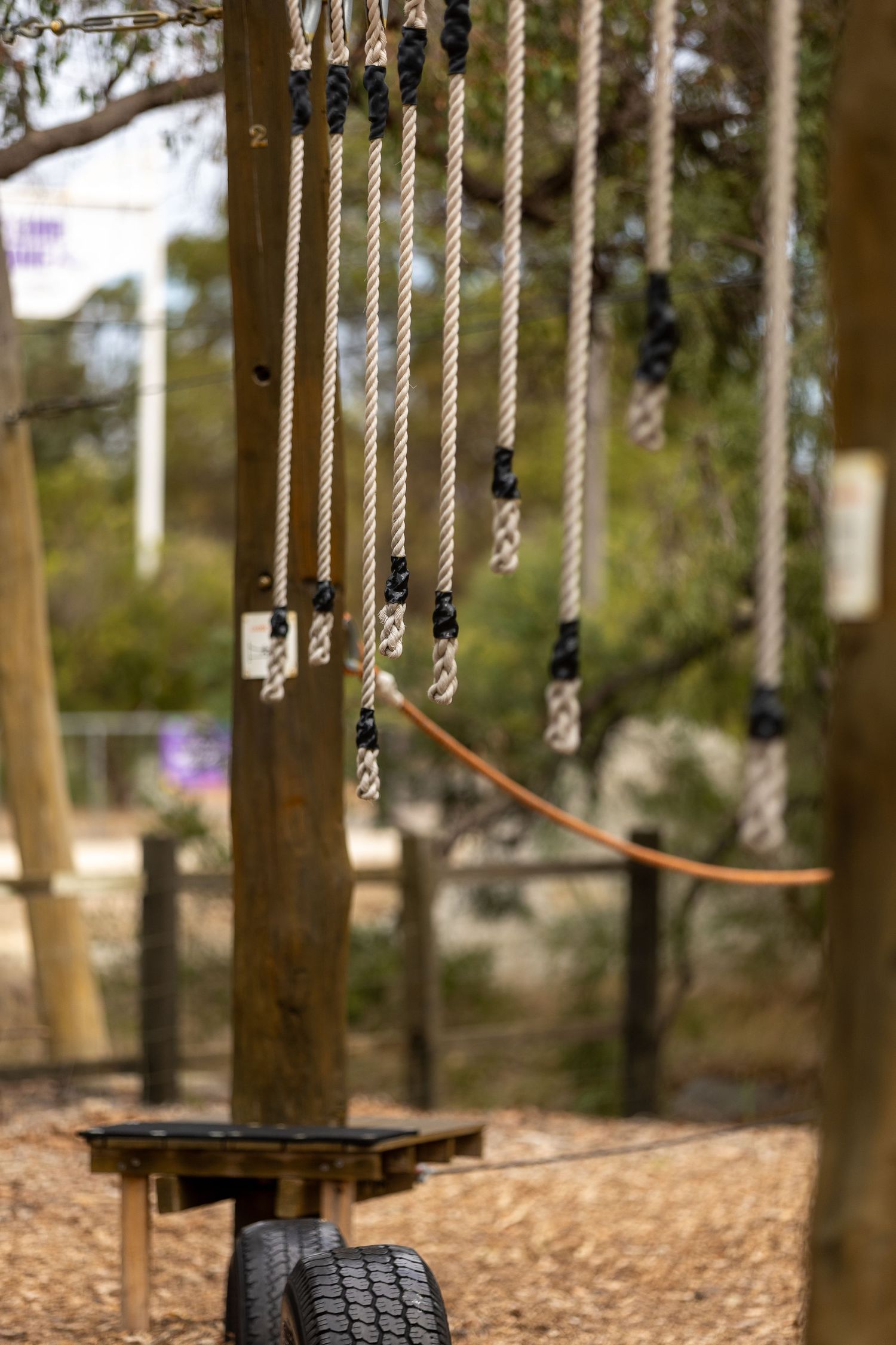 Close-up of hanging ropes and safety equipment at an outdoor adventure course.