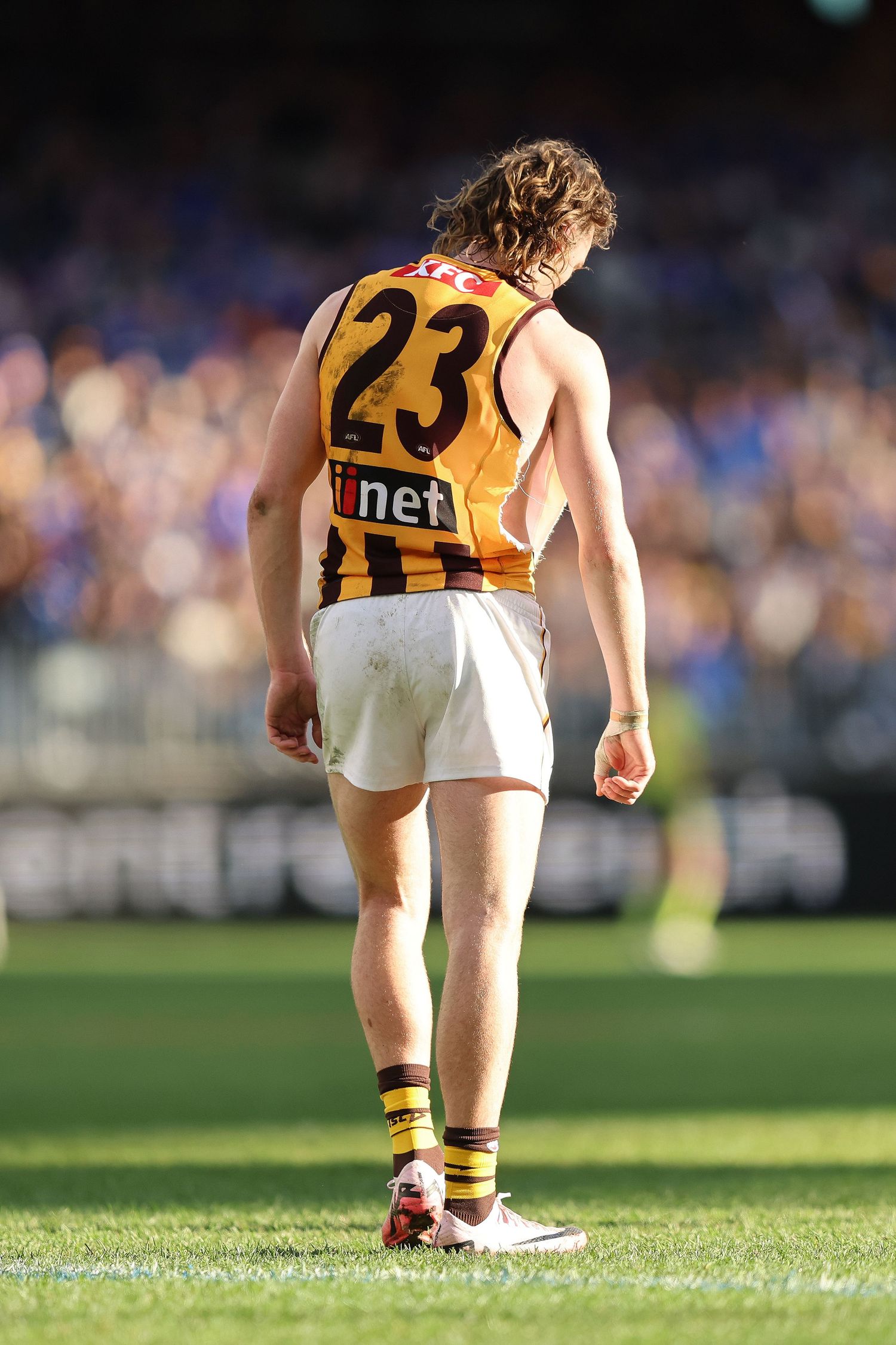 AFL player wearing number 23 striped jersey shown from behind on field.