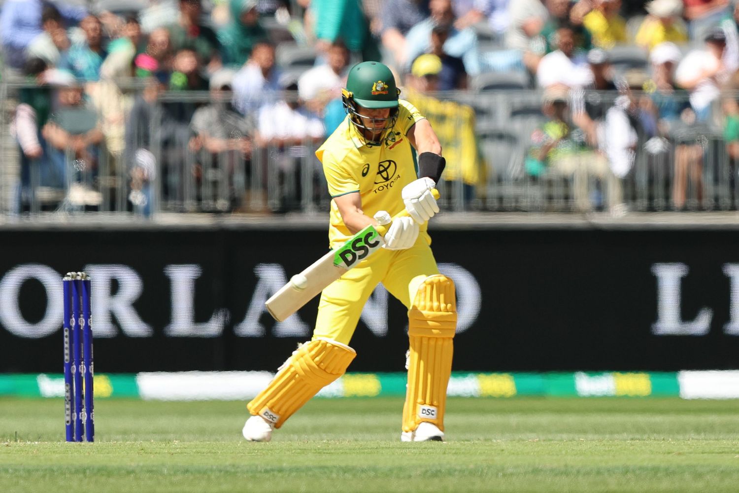 A cricket batsman in yellow uniform plays a defensive shot on the field during a match.