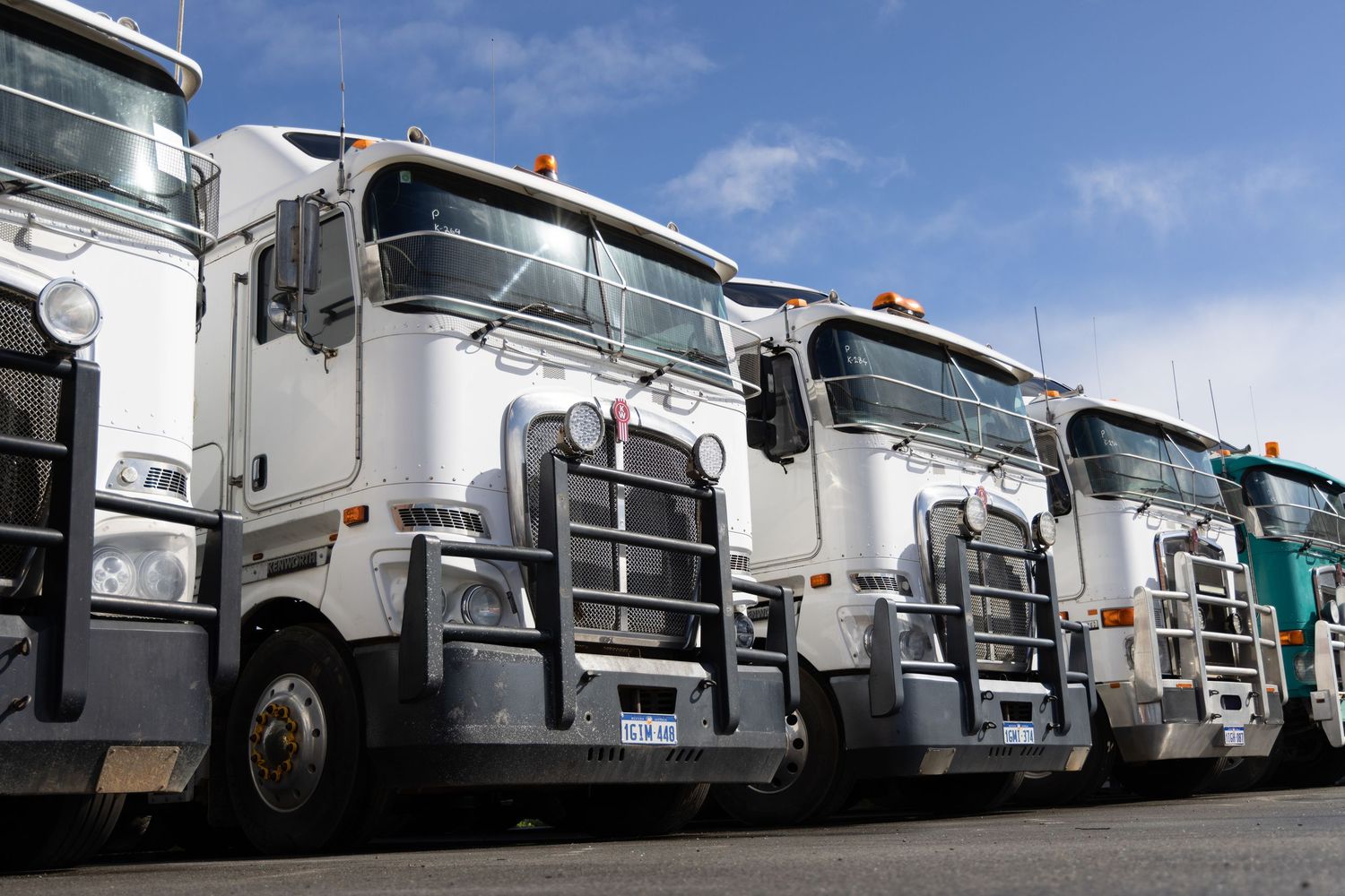 Row of white commercial semi trucks with chrome grilles parked in line under blue sky.