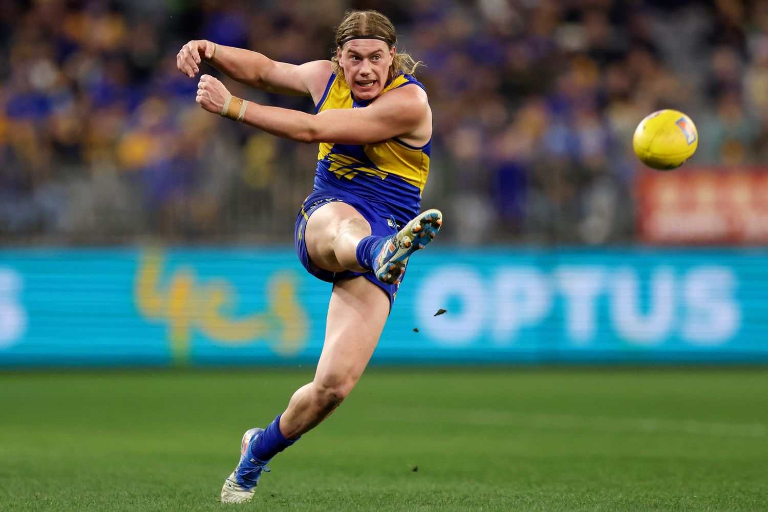 AFL player in blue and gold uniform kicks the football during a match at the stadium.