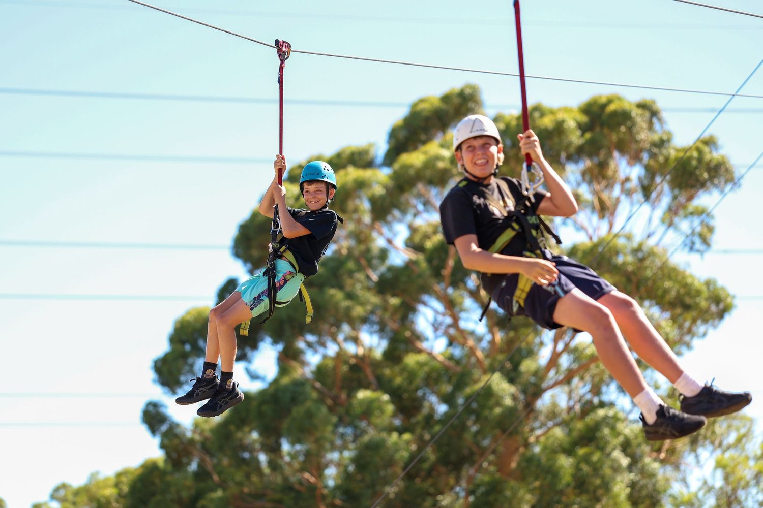 Multiple people zip lining through trees on an outdoor adventure course with blue sky in the background.